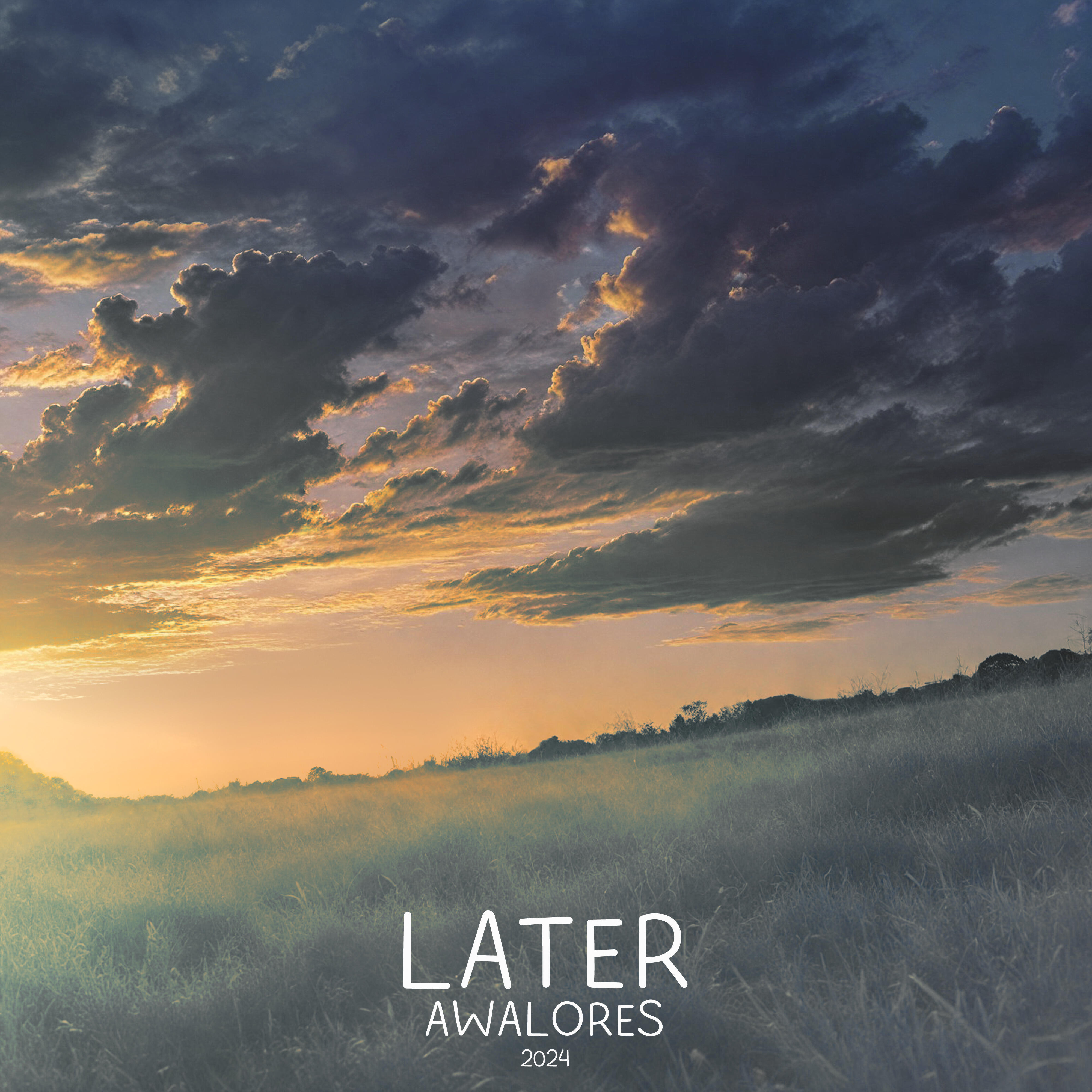 Релиз Later