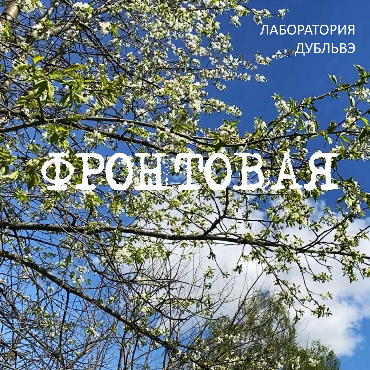 Постер альбома Фронтовая
