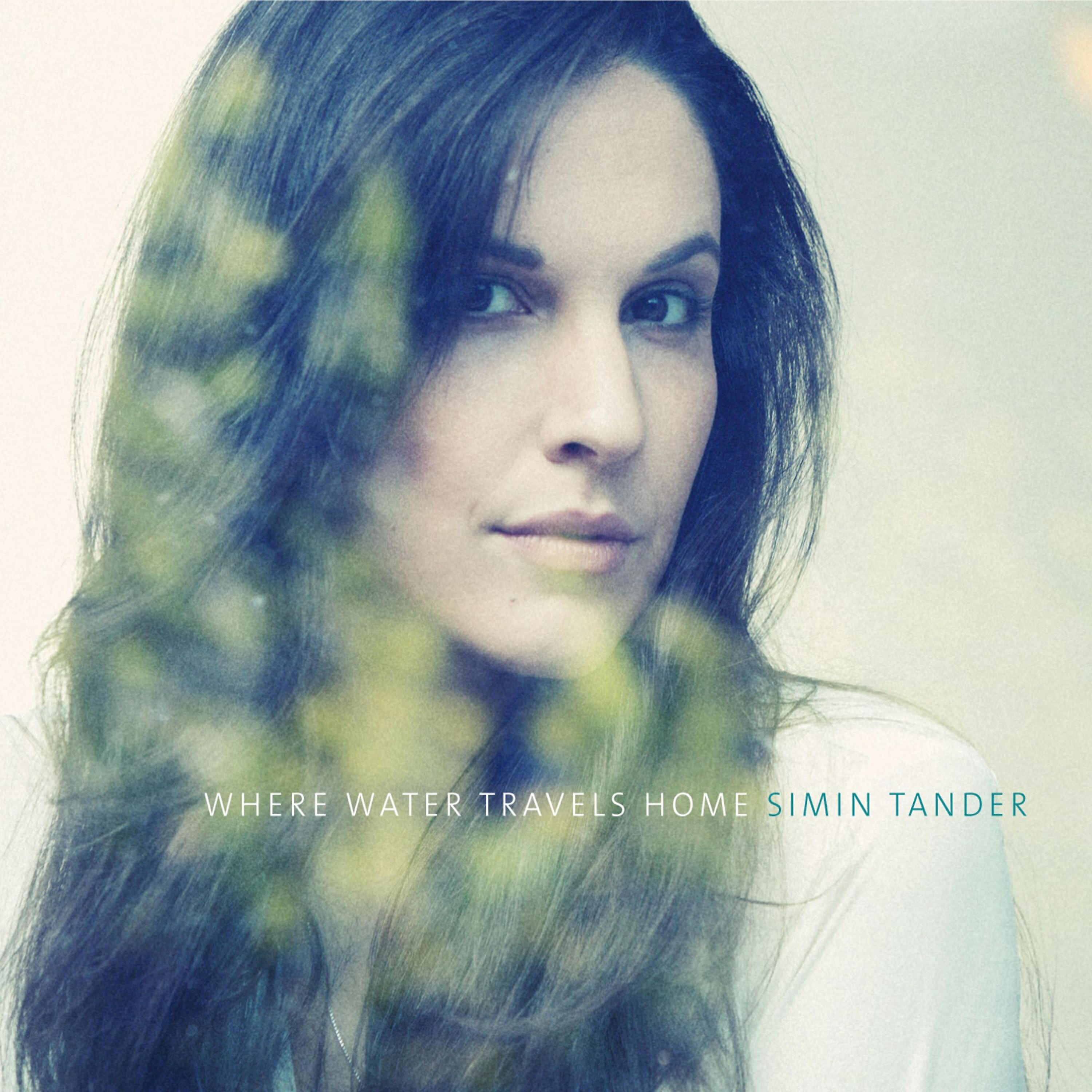 Релиз Where Water Travels Home