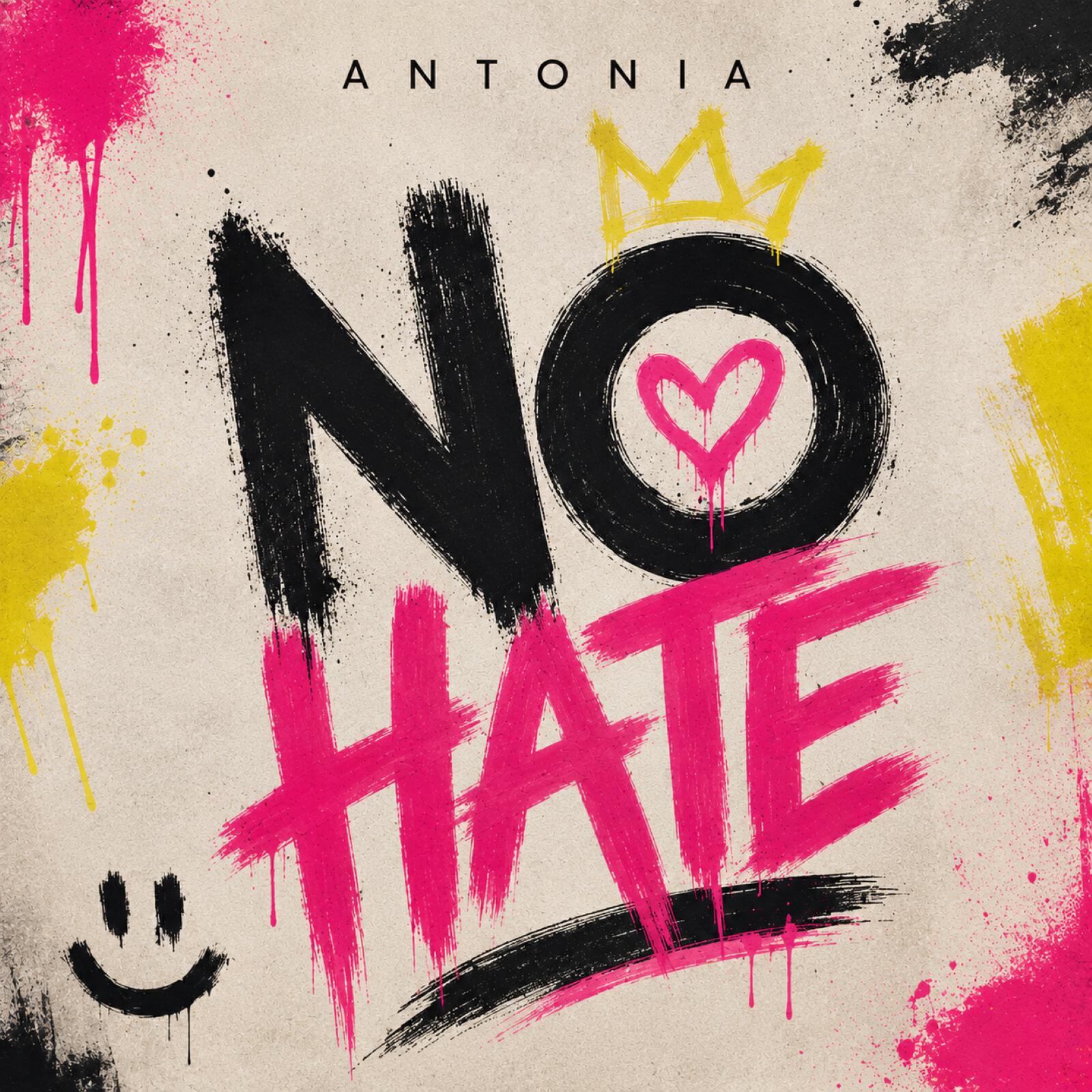Релиз NO HATE