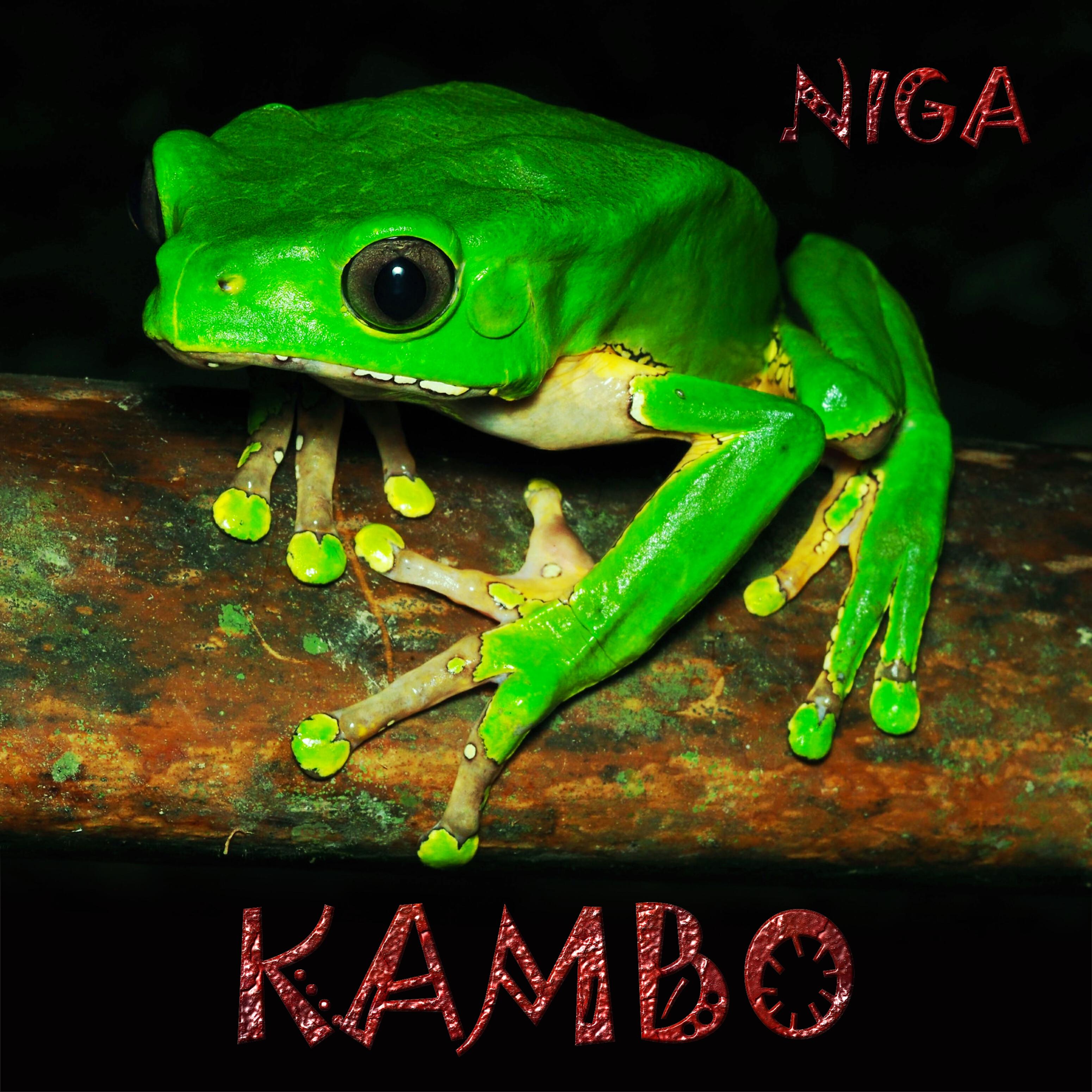 Постер альбома Kambo