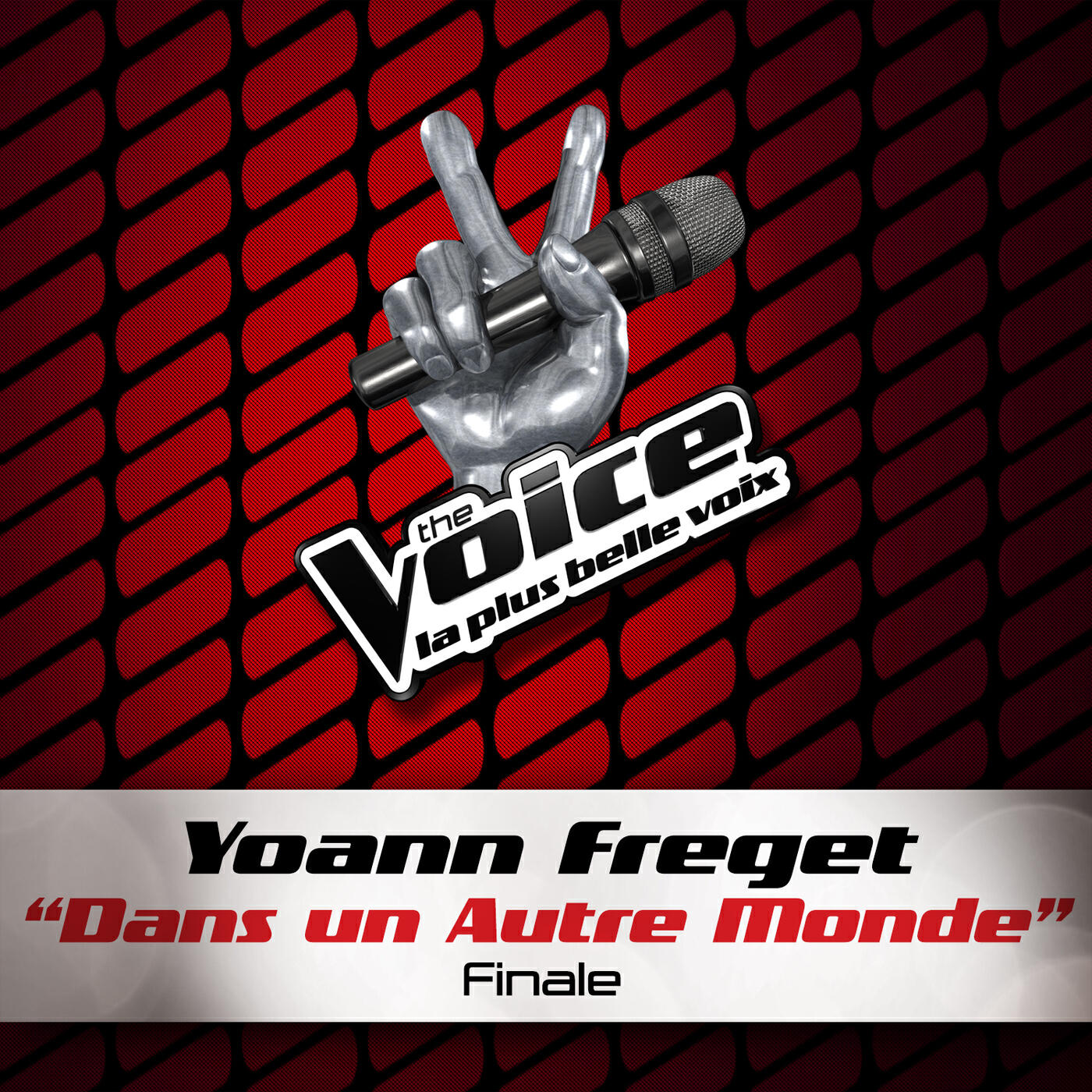 Релиз Dans Un Autre Monde - The Voice 2