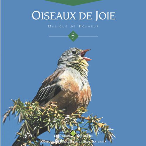 Релиз Emeraude: oiseaux de joie