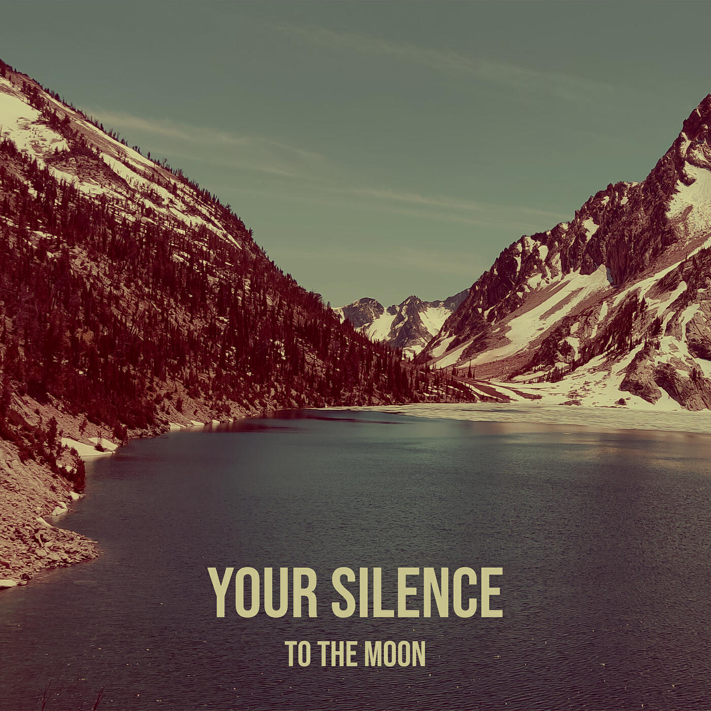 Постер альбома Your Silence
