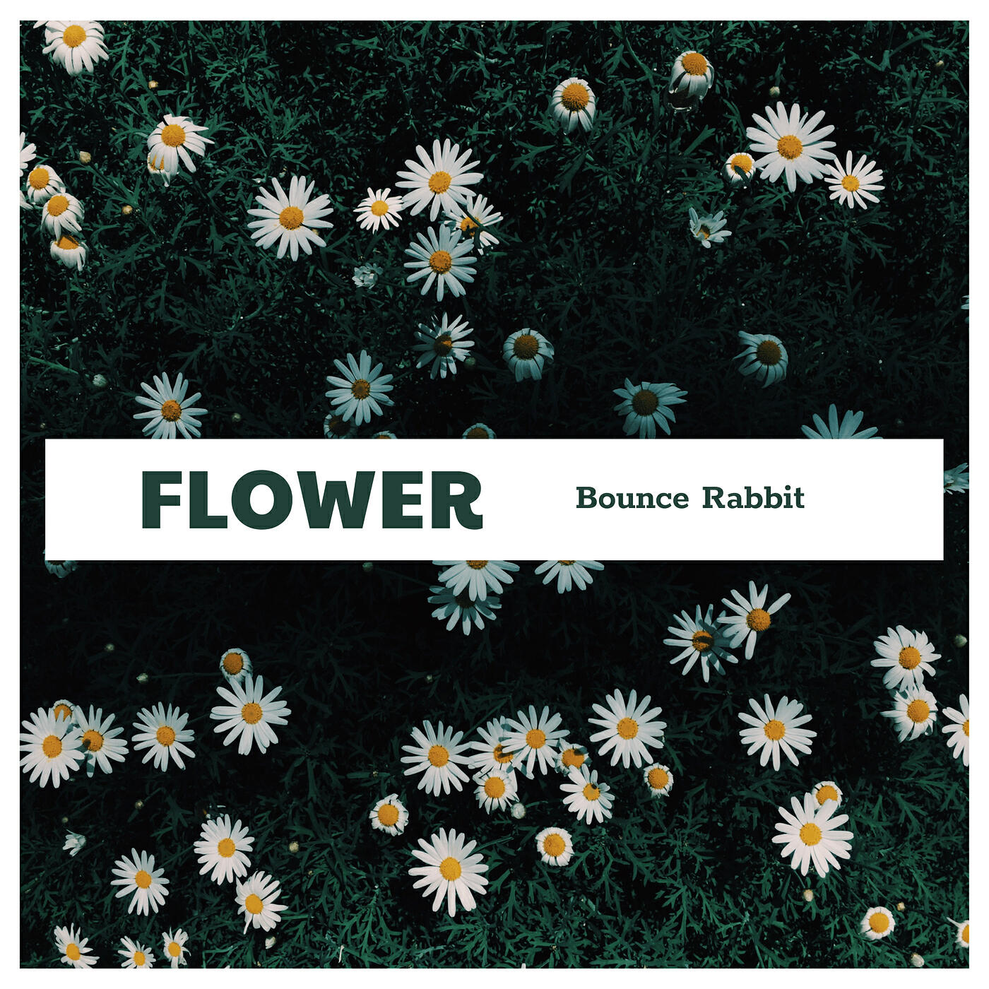 Релиз Flower