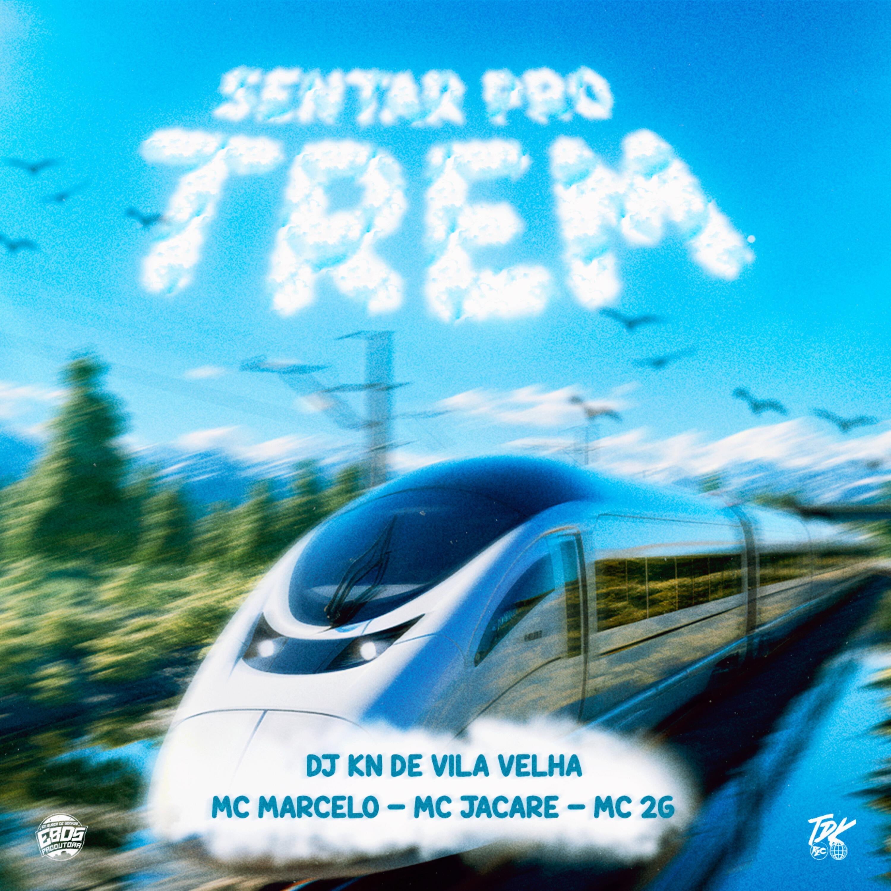 Релиз Sentar pro Trem