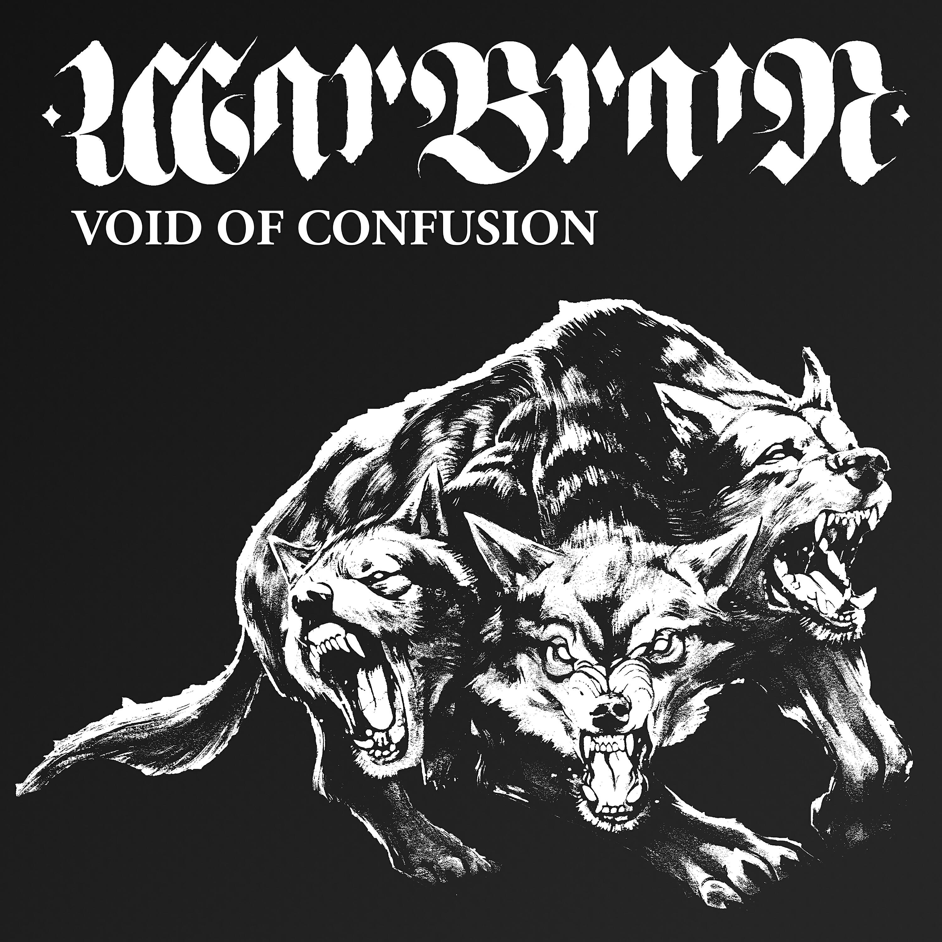 Релиз Void of Confusion