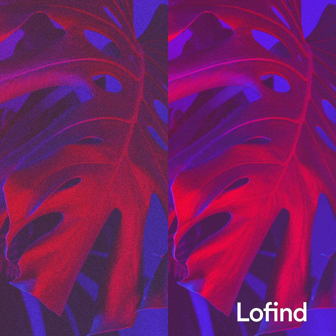 Релиз Lofind