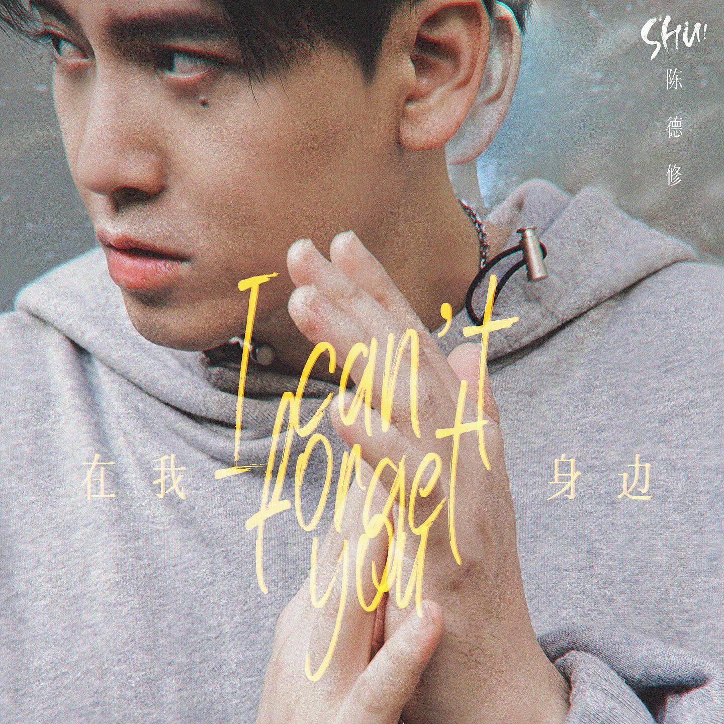 Релиз 在我身边（I Can't Forget You）