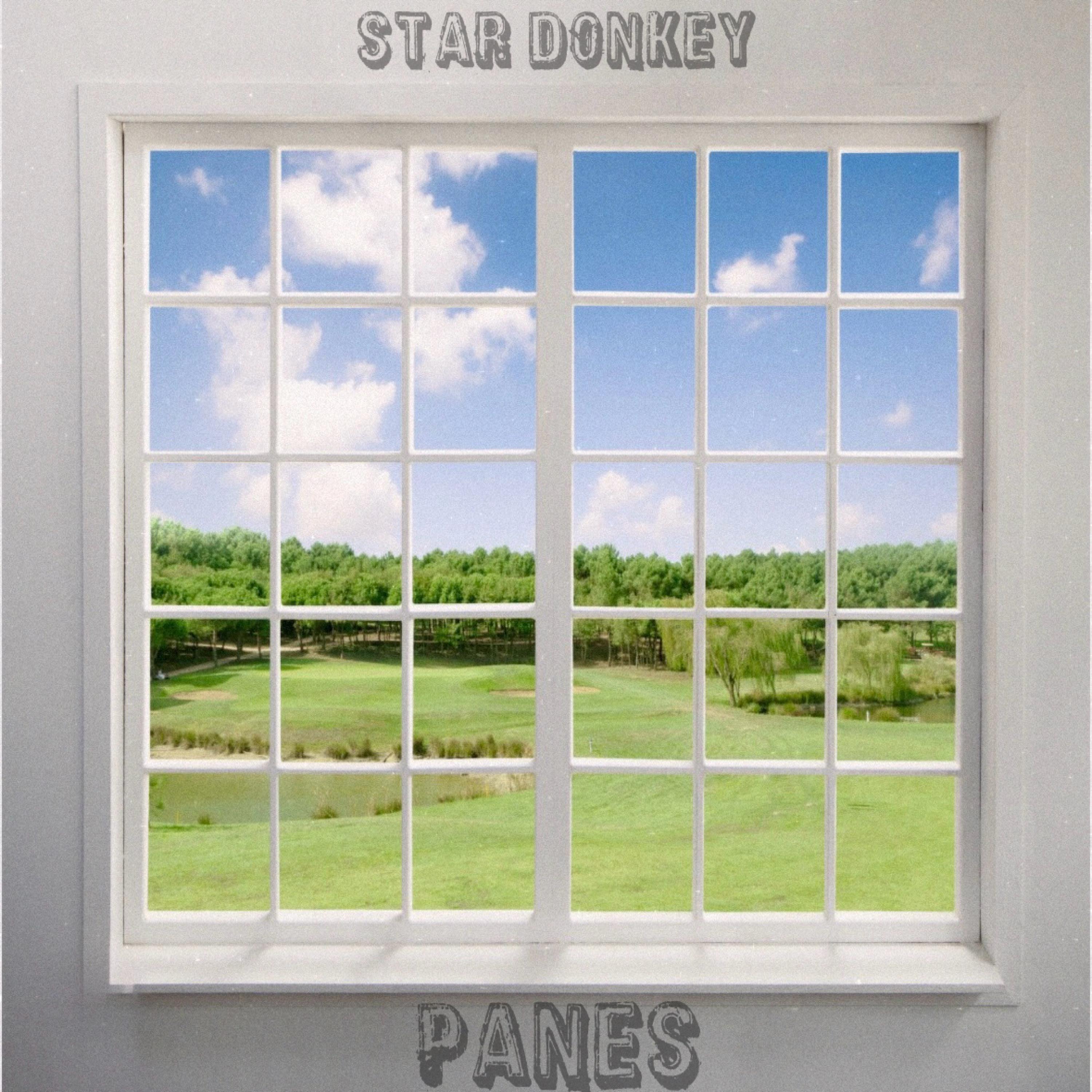 Star Donkey