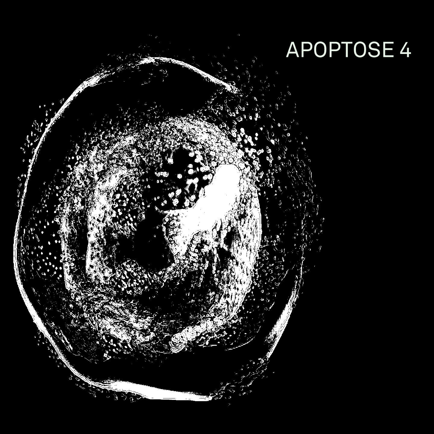 Релиз Apoptose 4