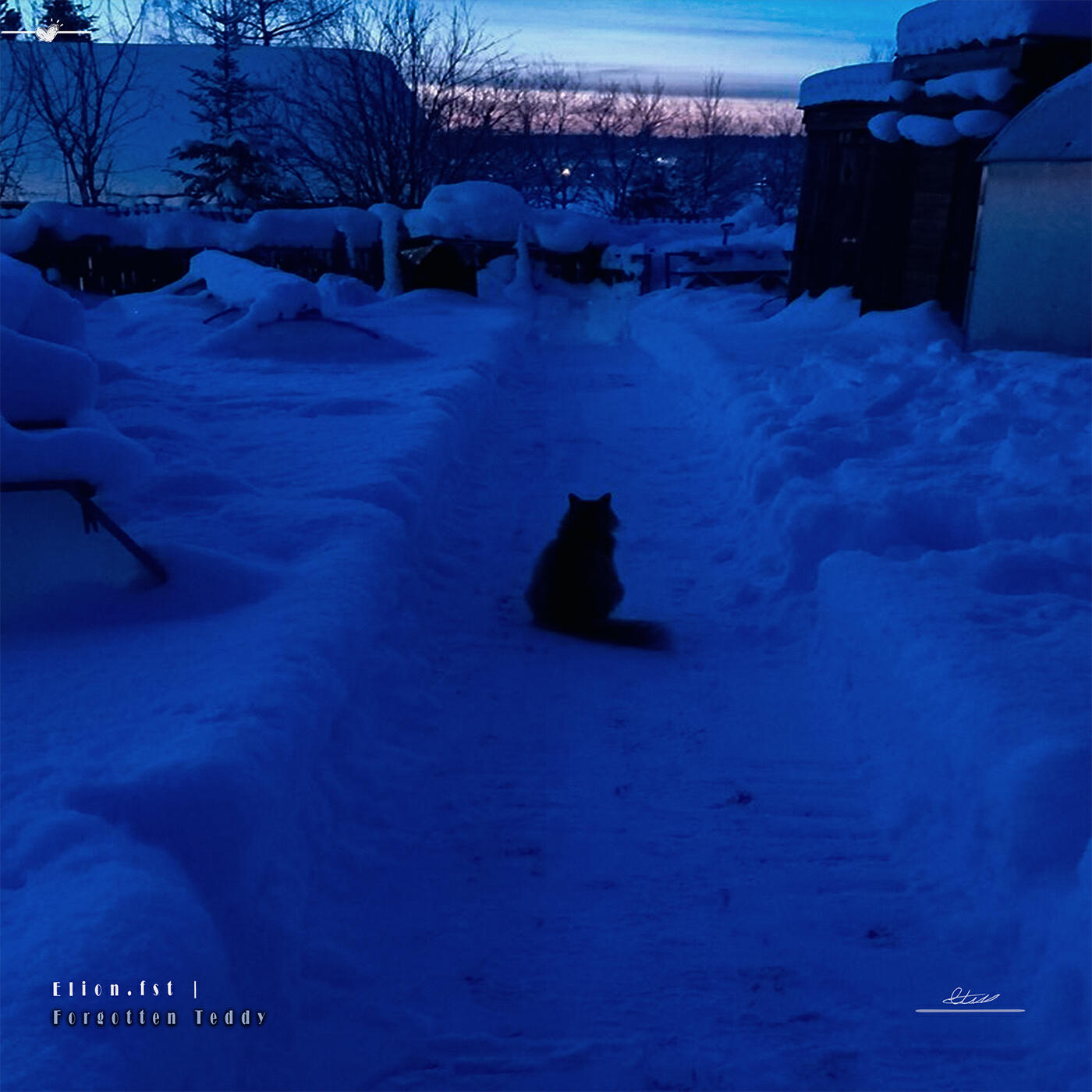 Релиз Forgotten Teddy