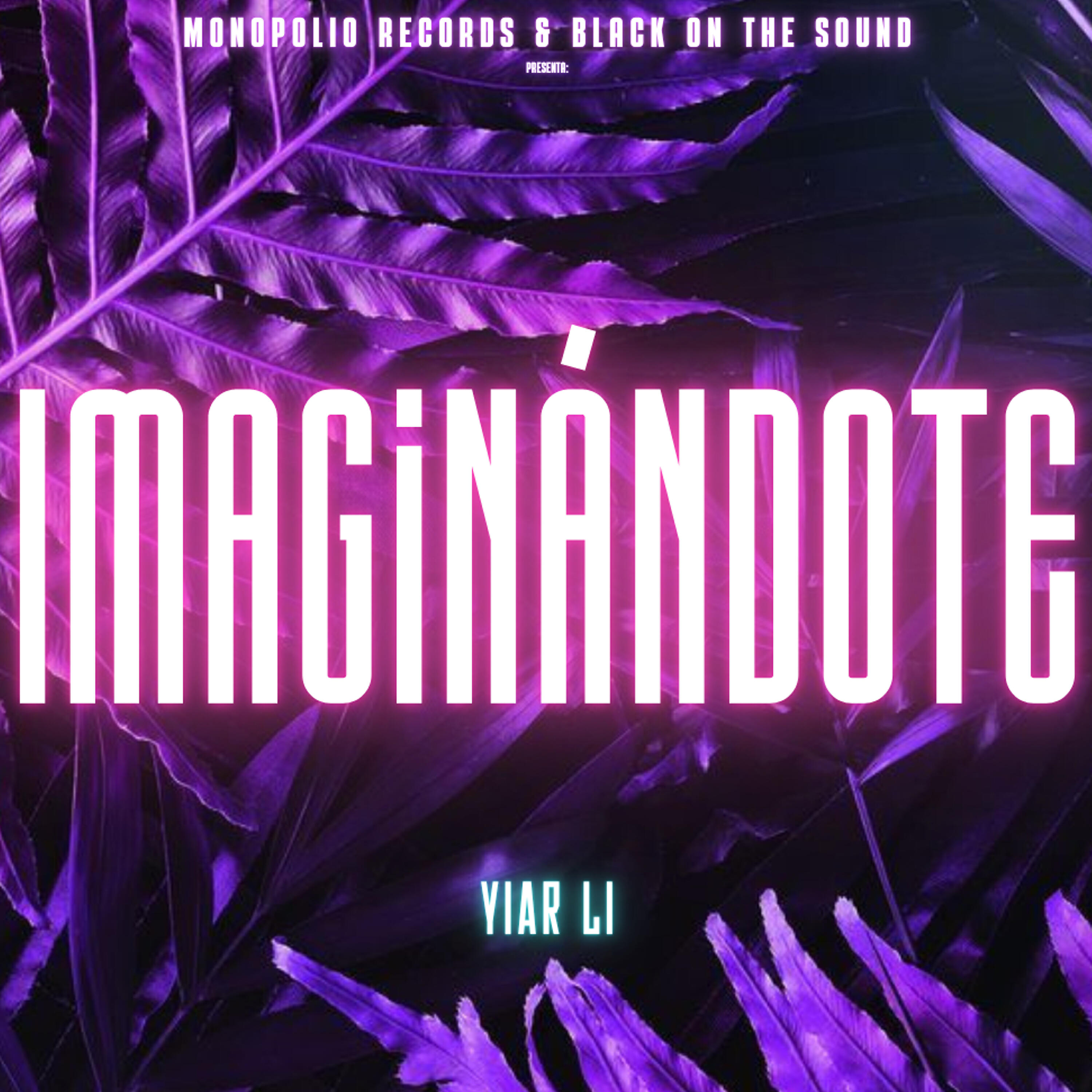 Релиз Imaginándote