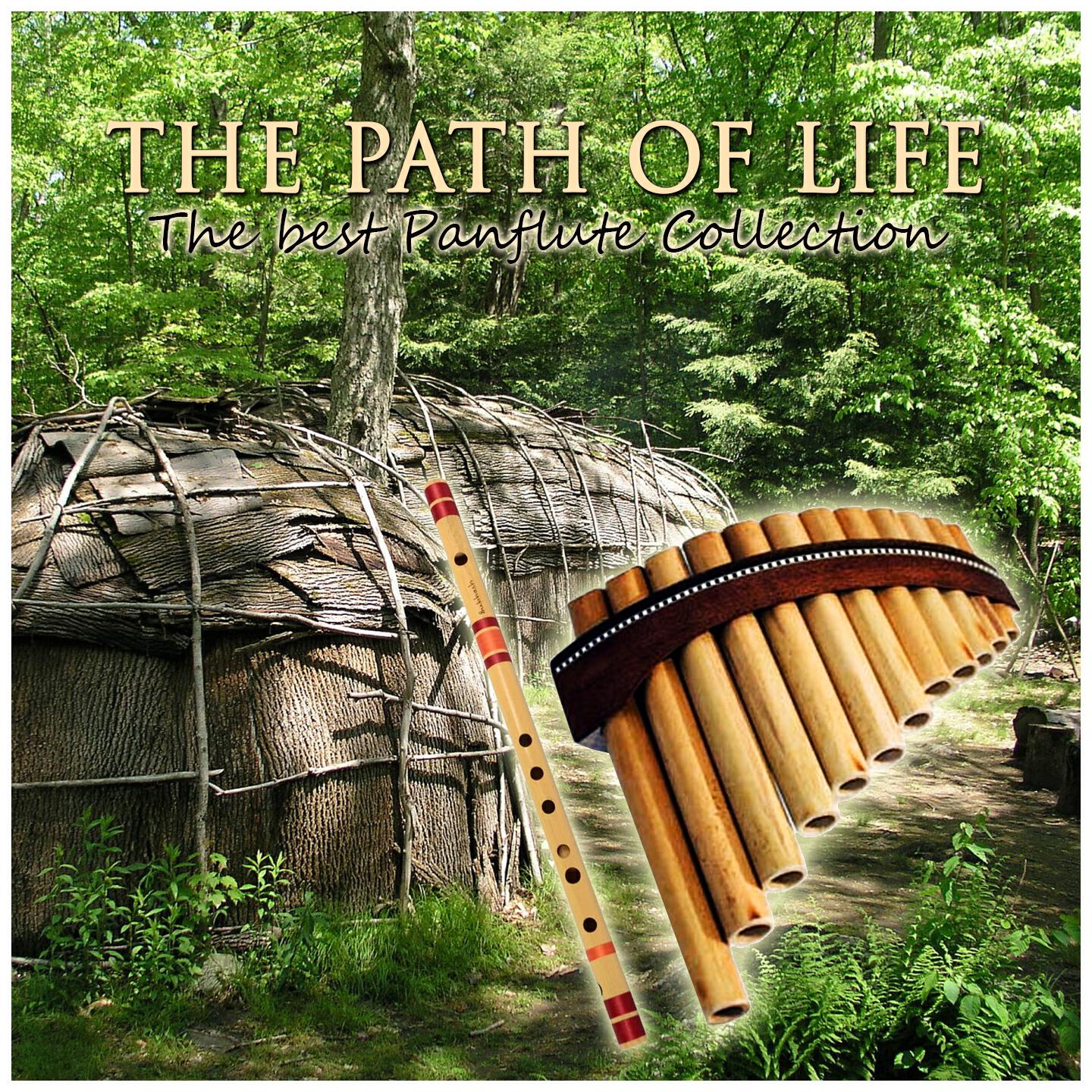 Релиз The Path of Life
