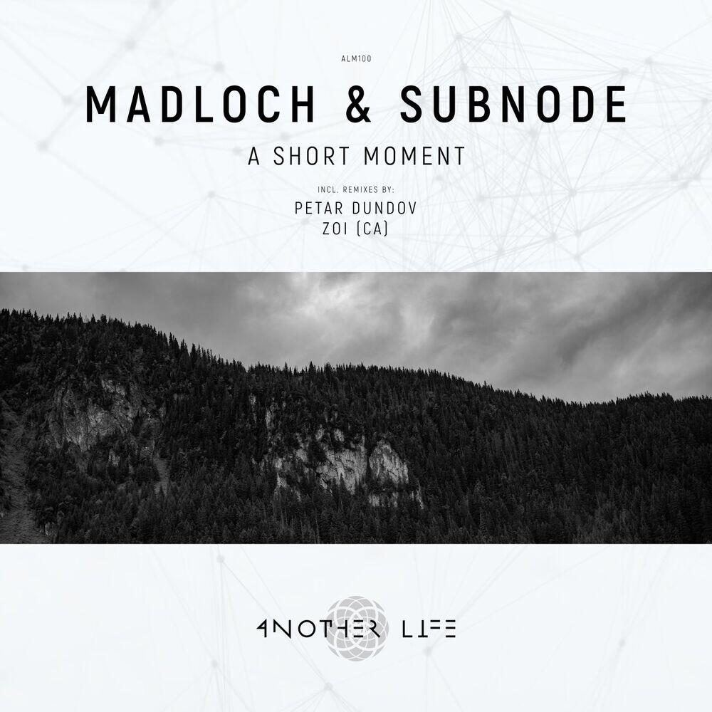 Релиз A Short Moment (Zoi (CA) Remix)