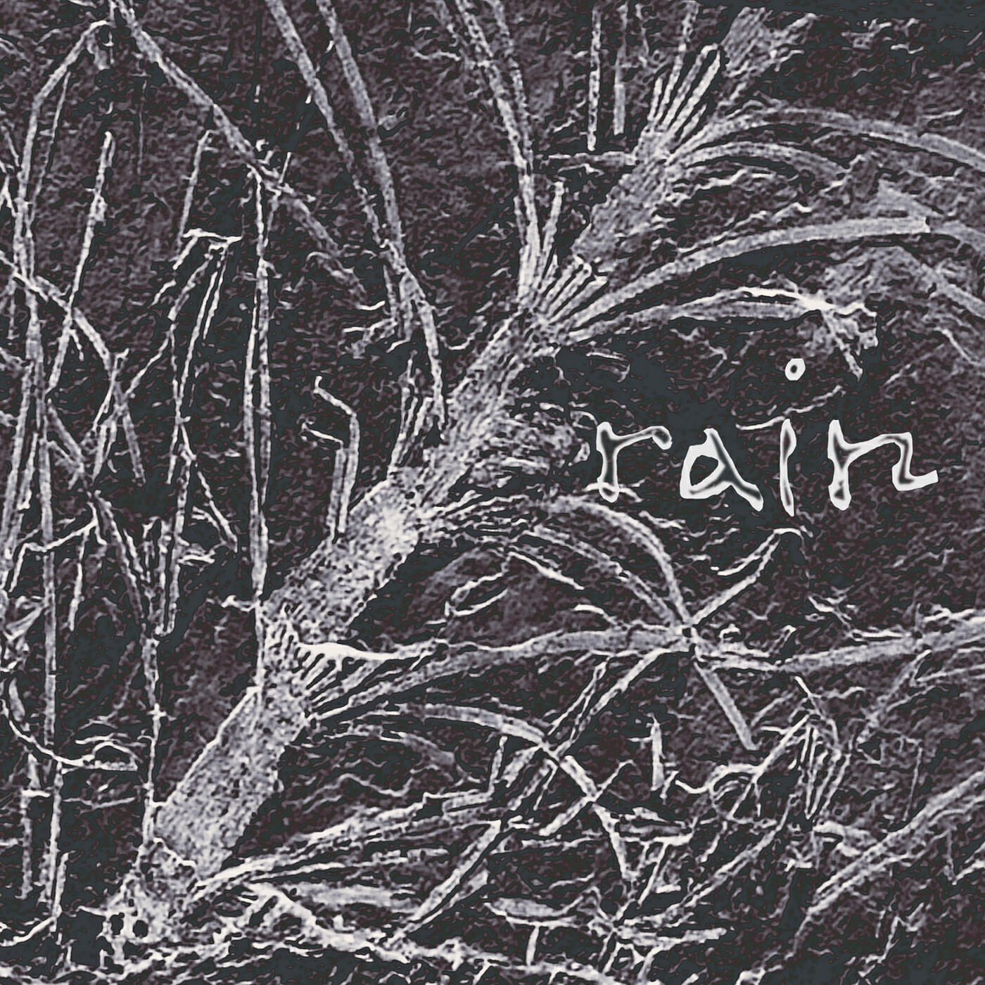 Релиз Rain