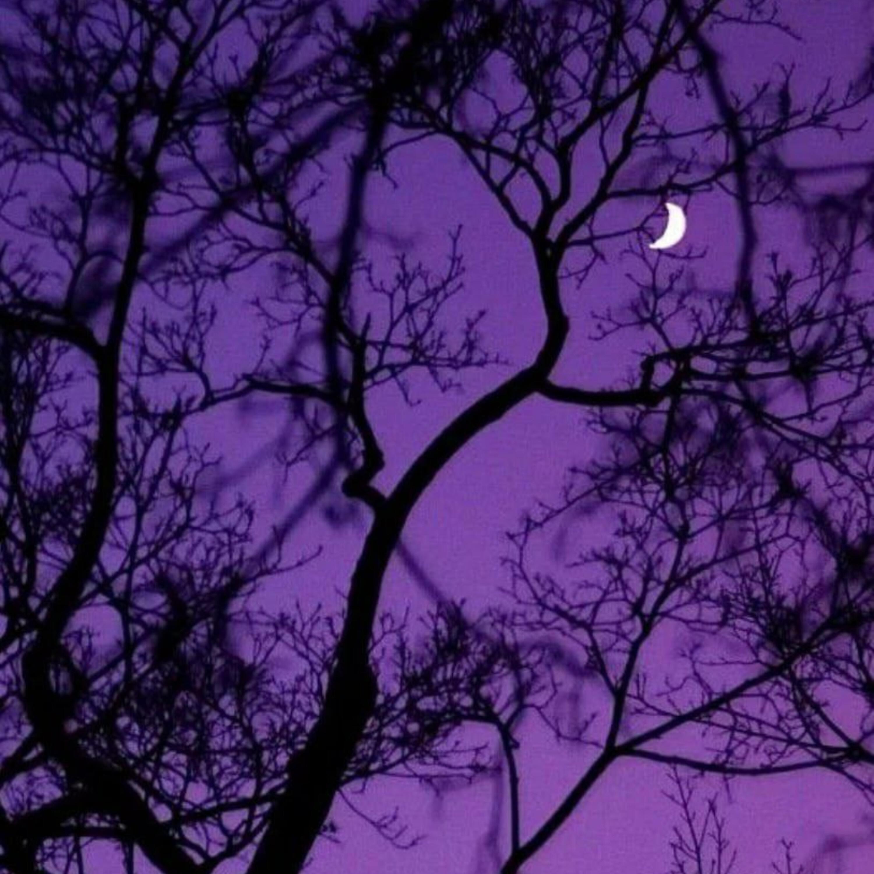 Релиз VIOLET