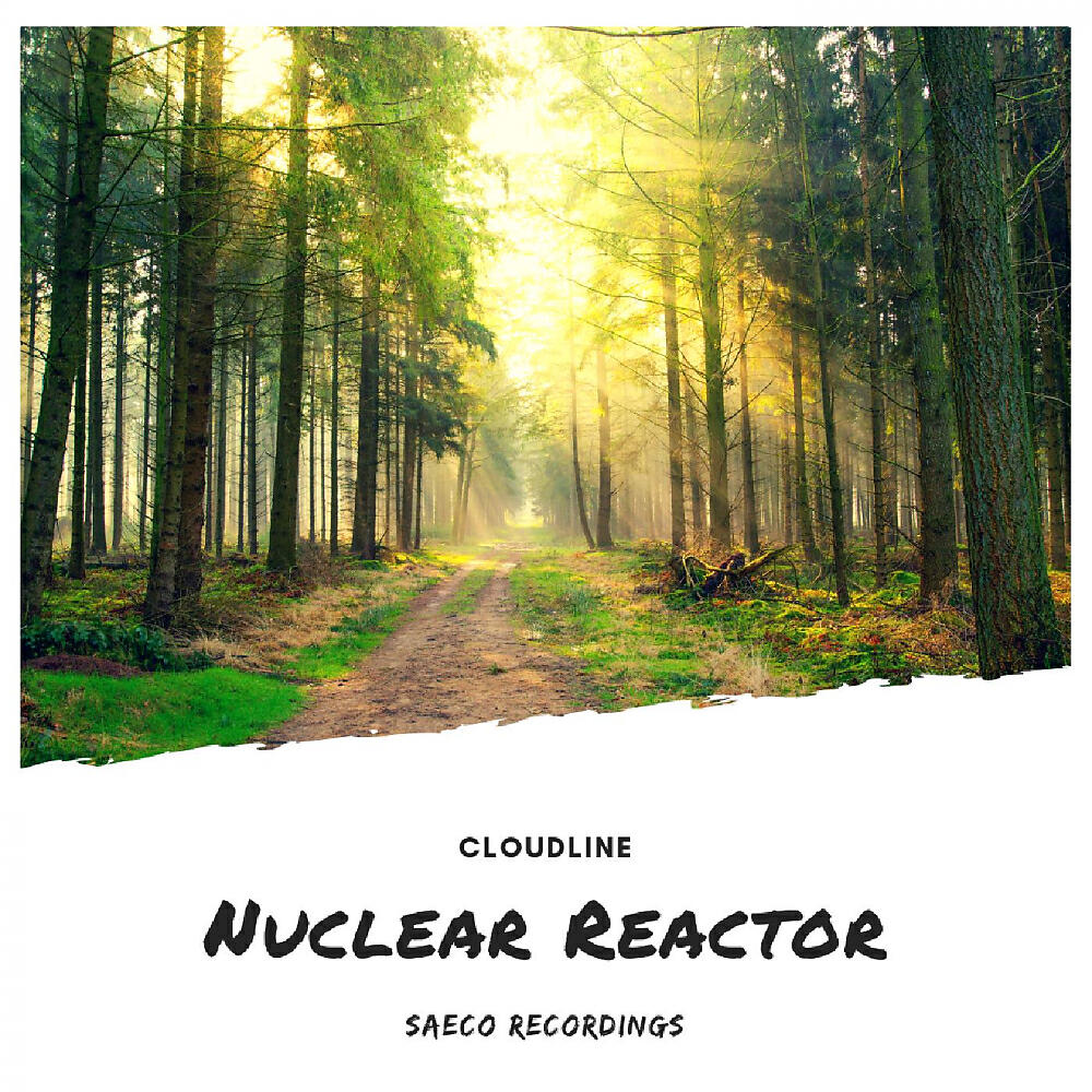 Релиз Nuclear Reactor