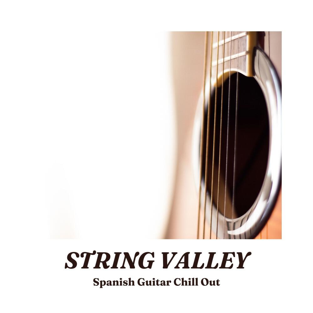 Релиз String Valley: Relaxing Guitar Covers