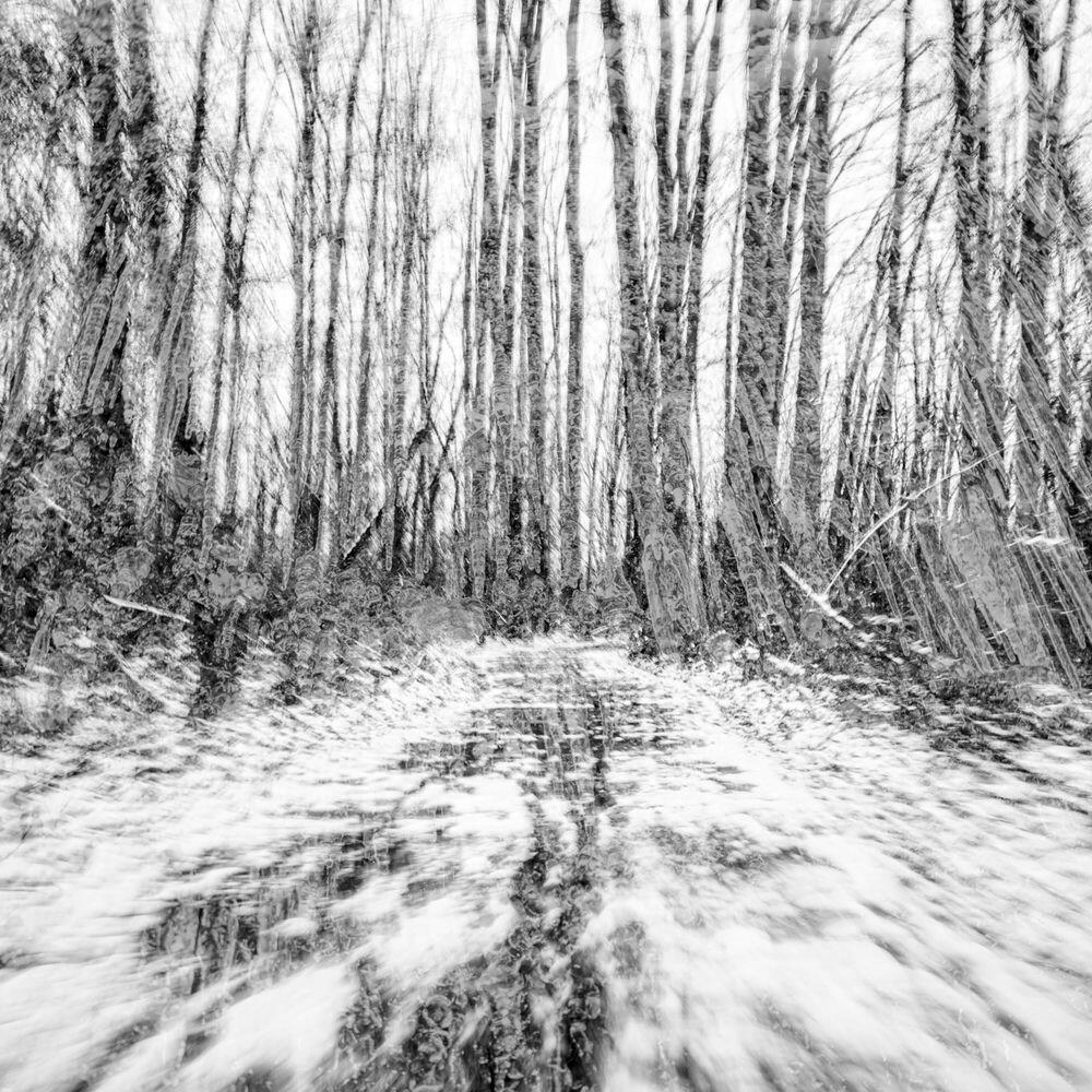 Трек Frozen Ghosts