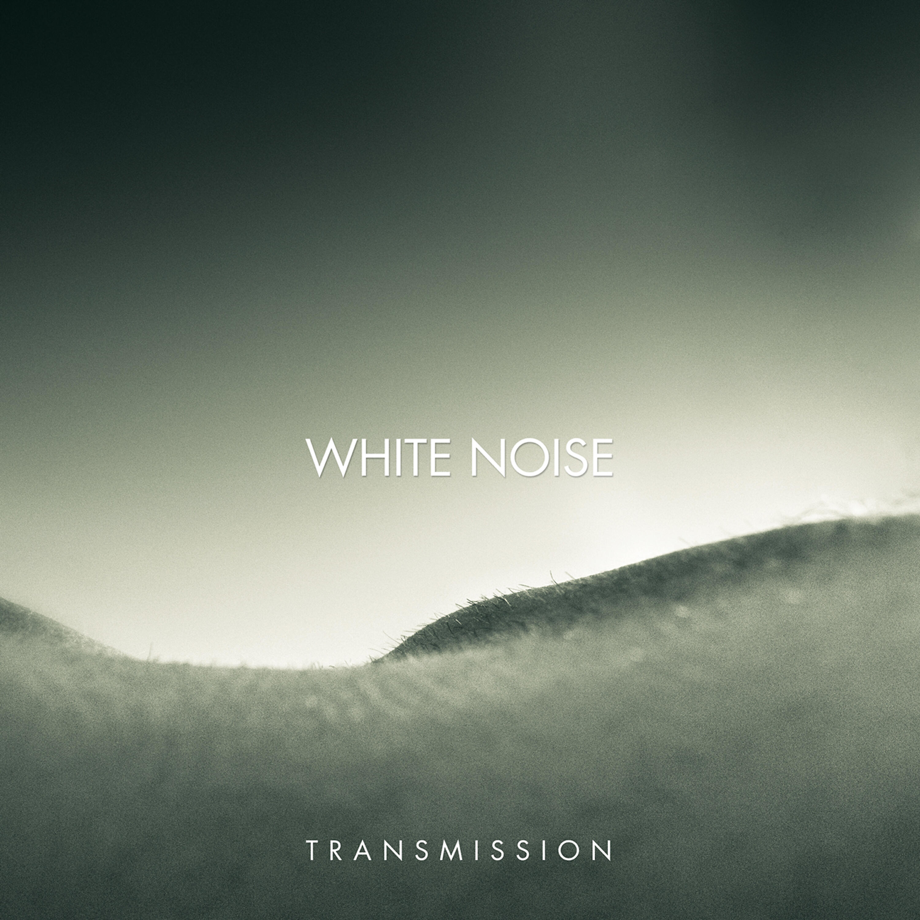 Релиз Transmission