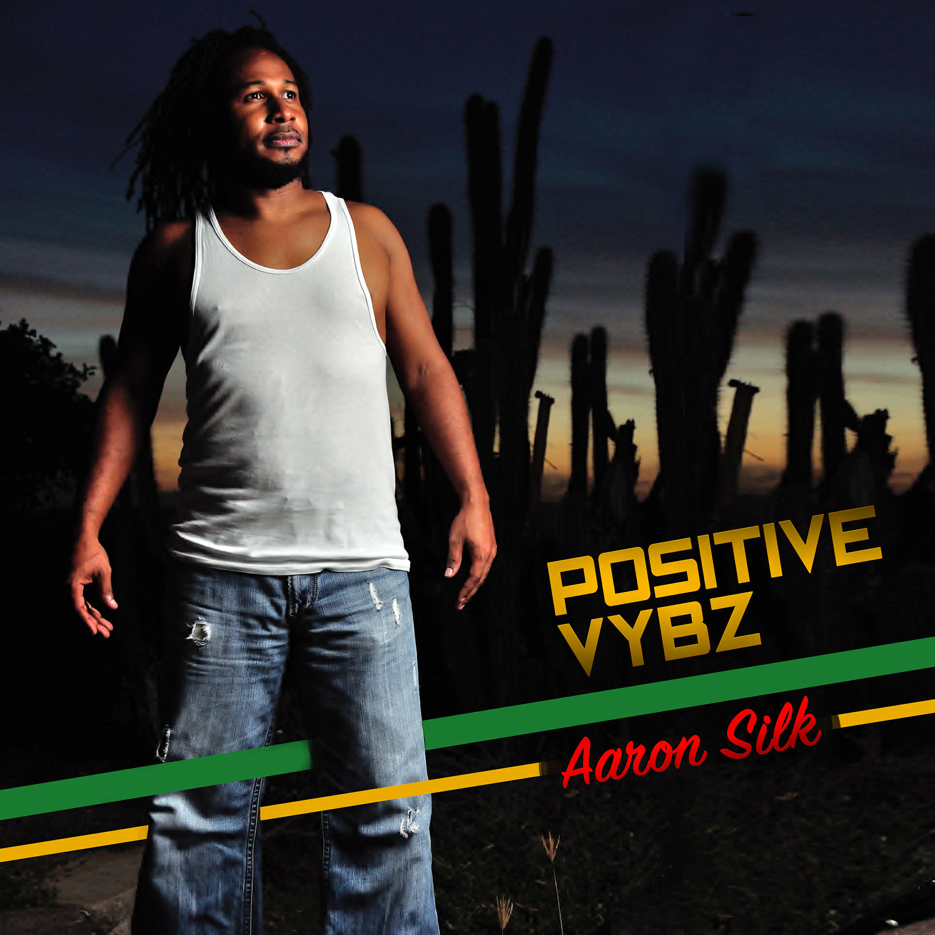 Релиз Positive Vybz