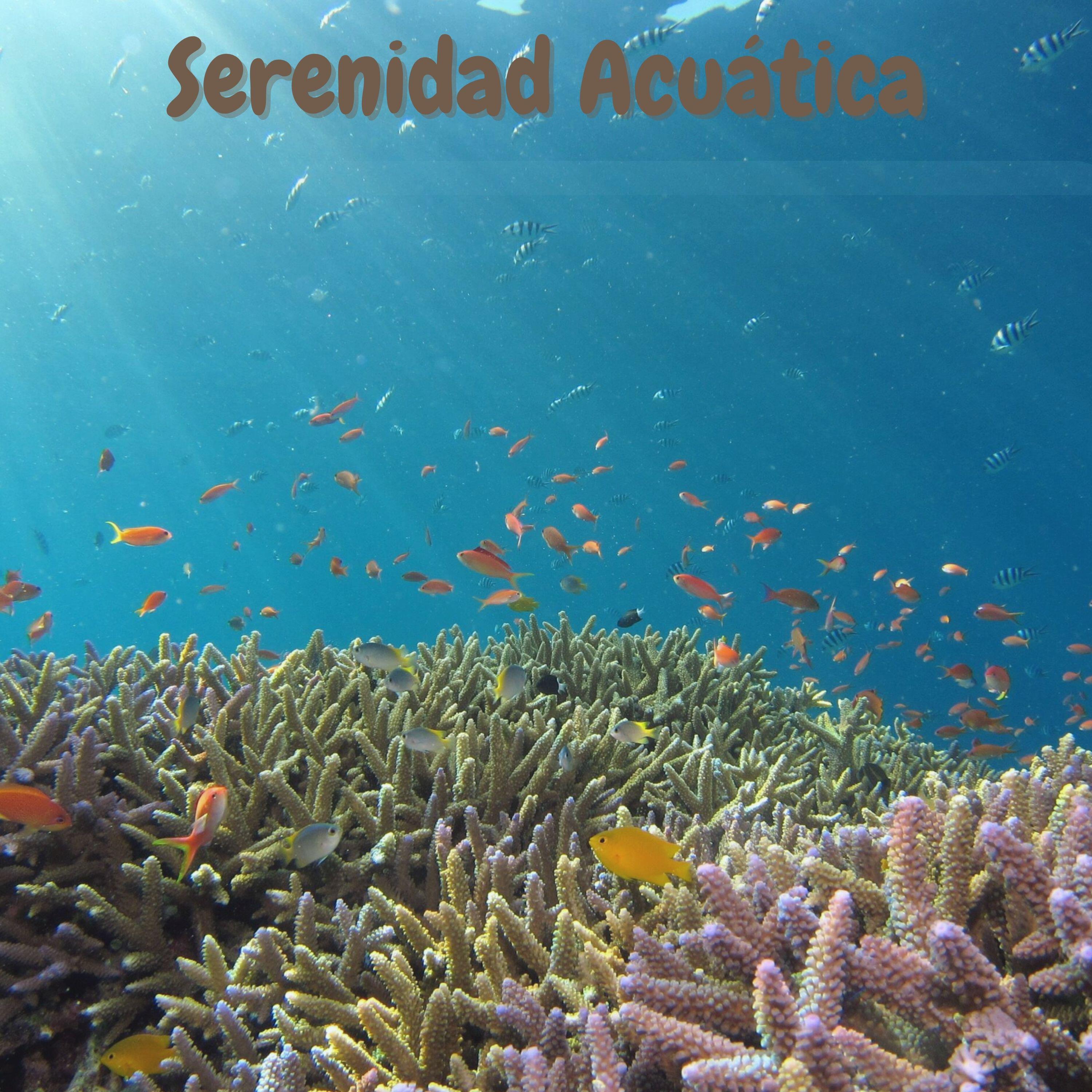 Anabel Tranquilidad Interior