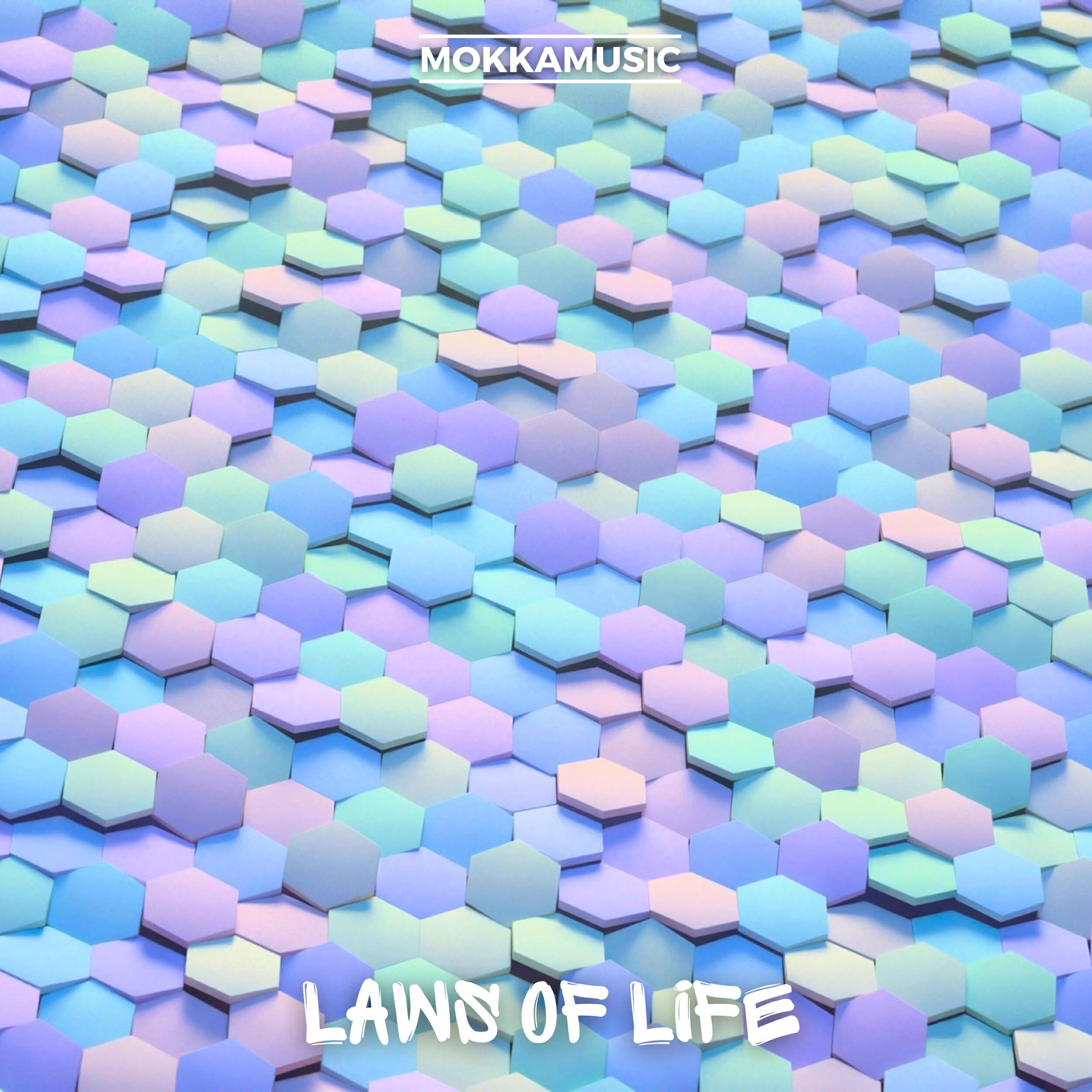 Релиз Laws of Life