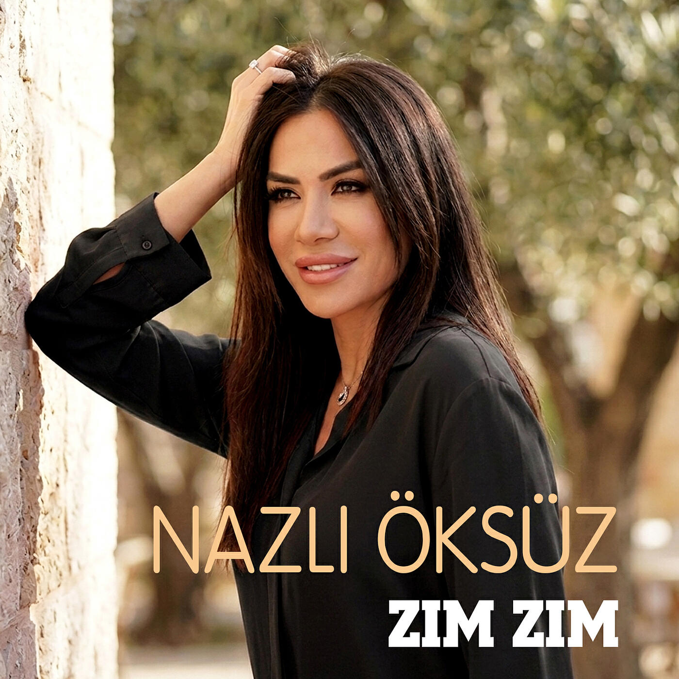 Релиз Zım Zım