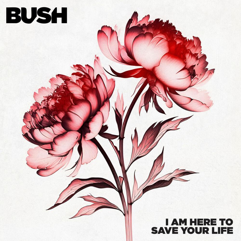 Релиз I Am Here to Save Your Life