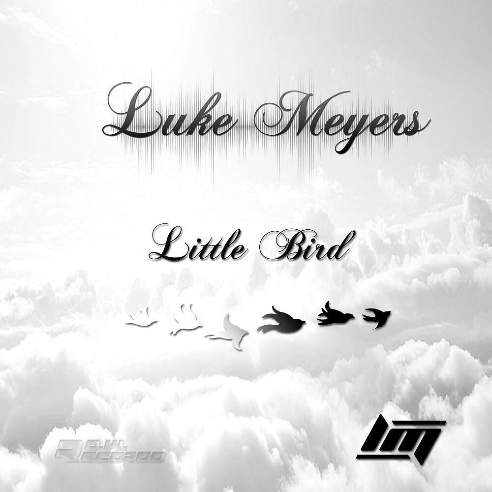 Релиз Little Bird