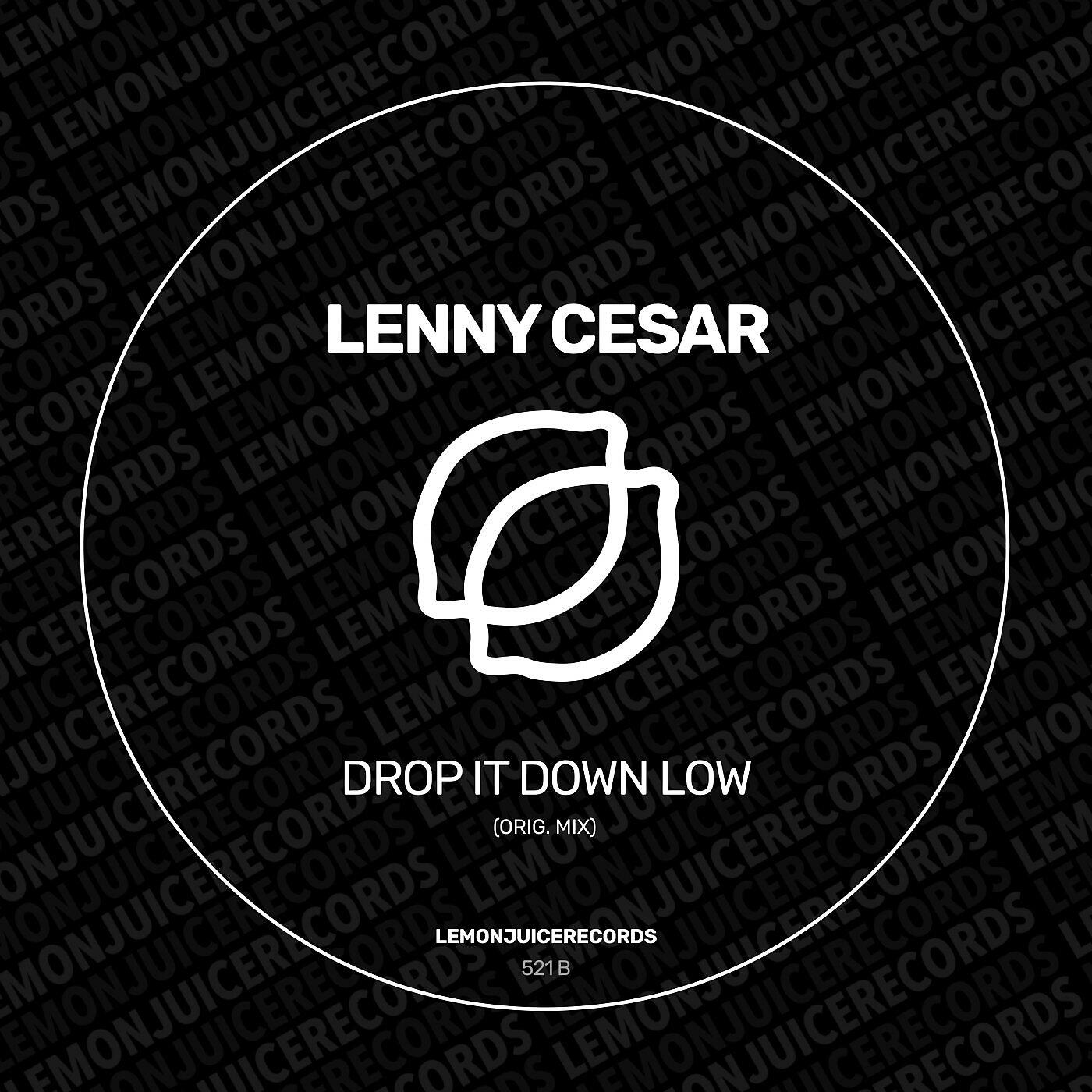 Постер альбома Drop It Down Low