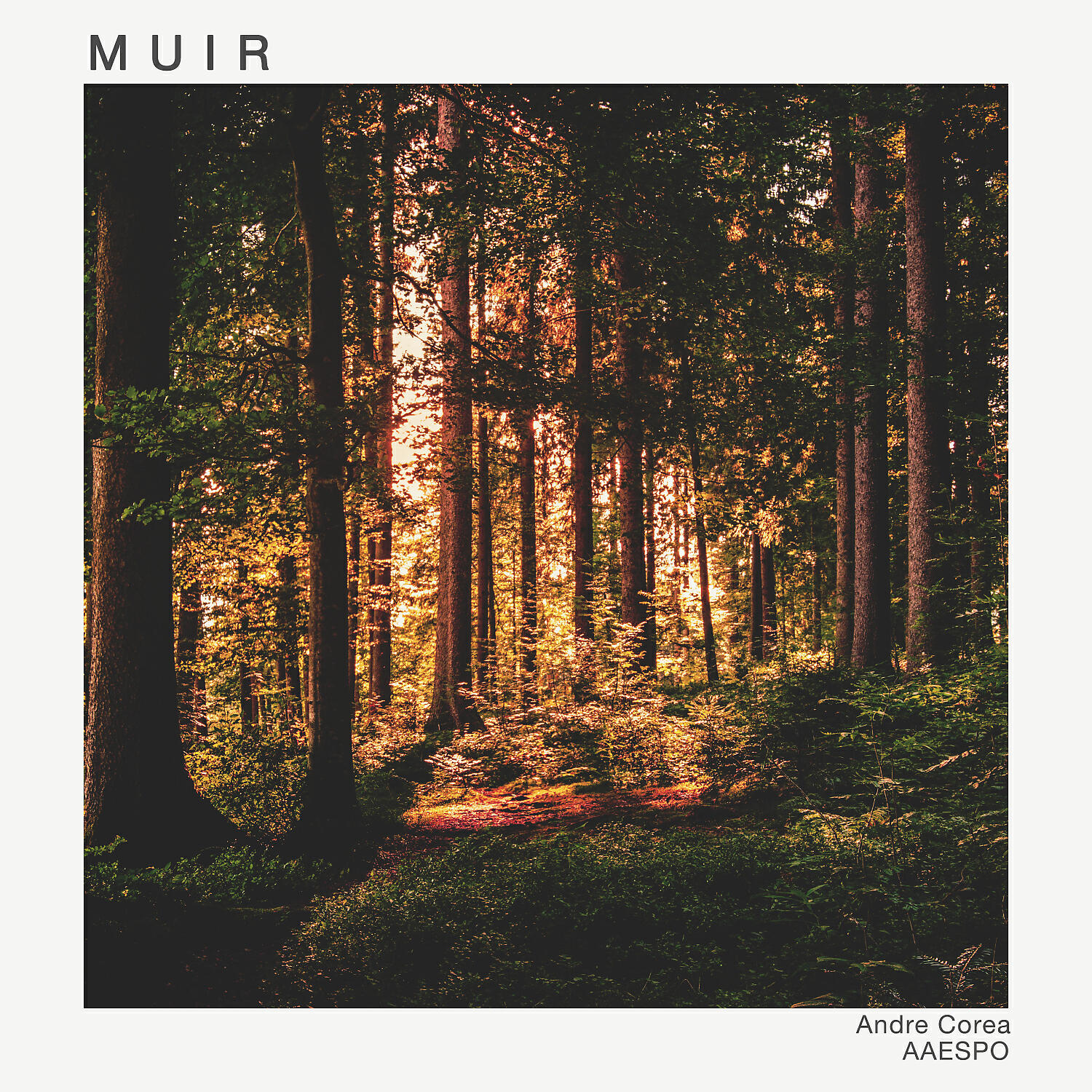Релиз Muir