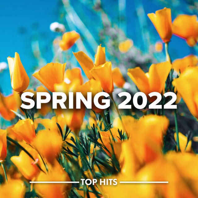 Релиз Spring 2022