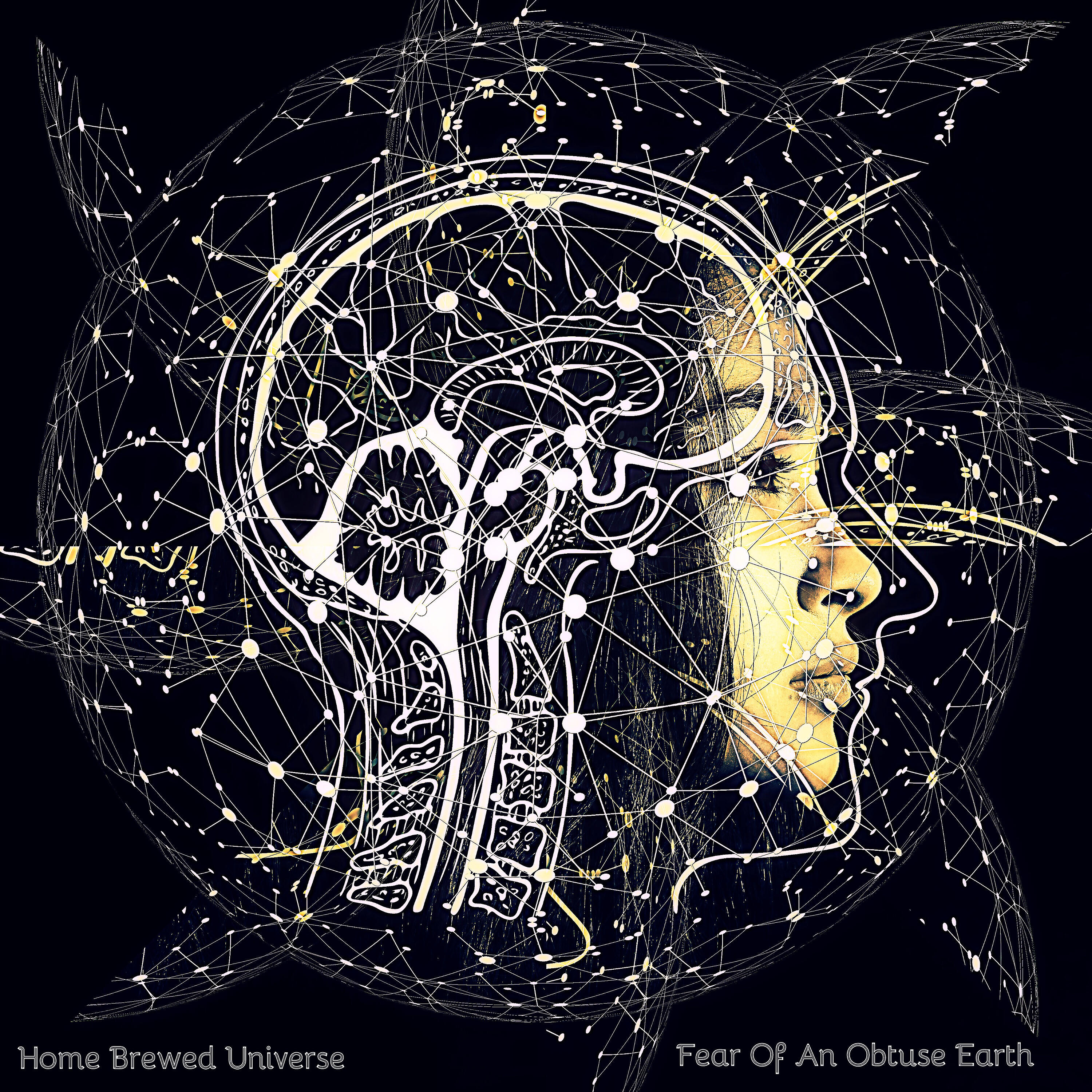 Релиз Fear of an Obtuse Earth