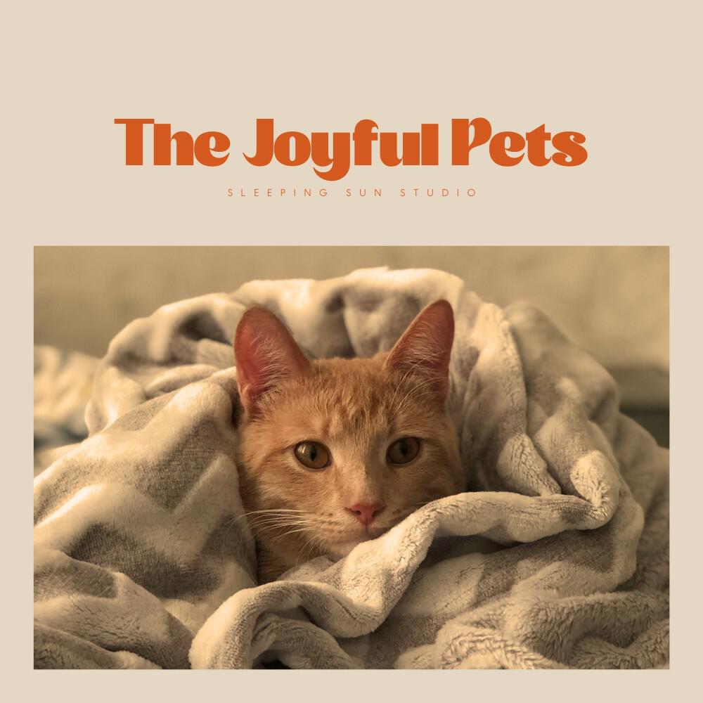 Релиз The Joyful Pets