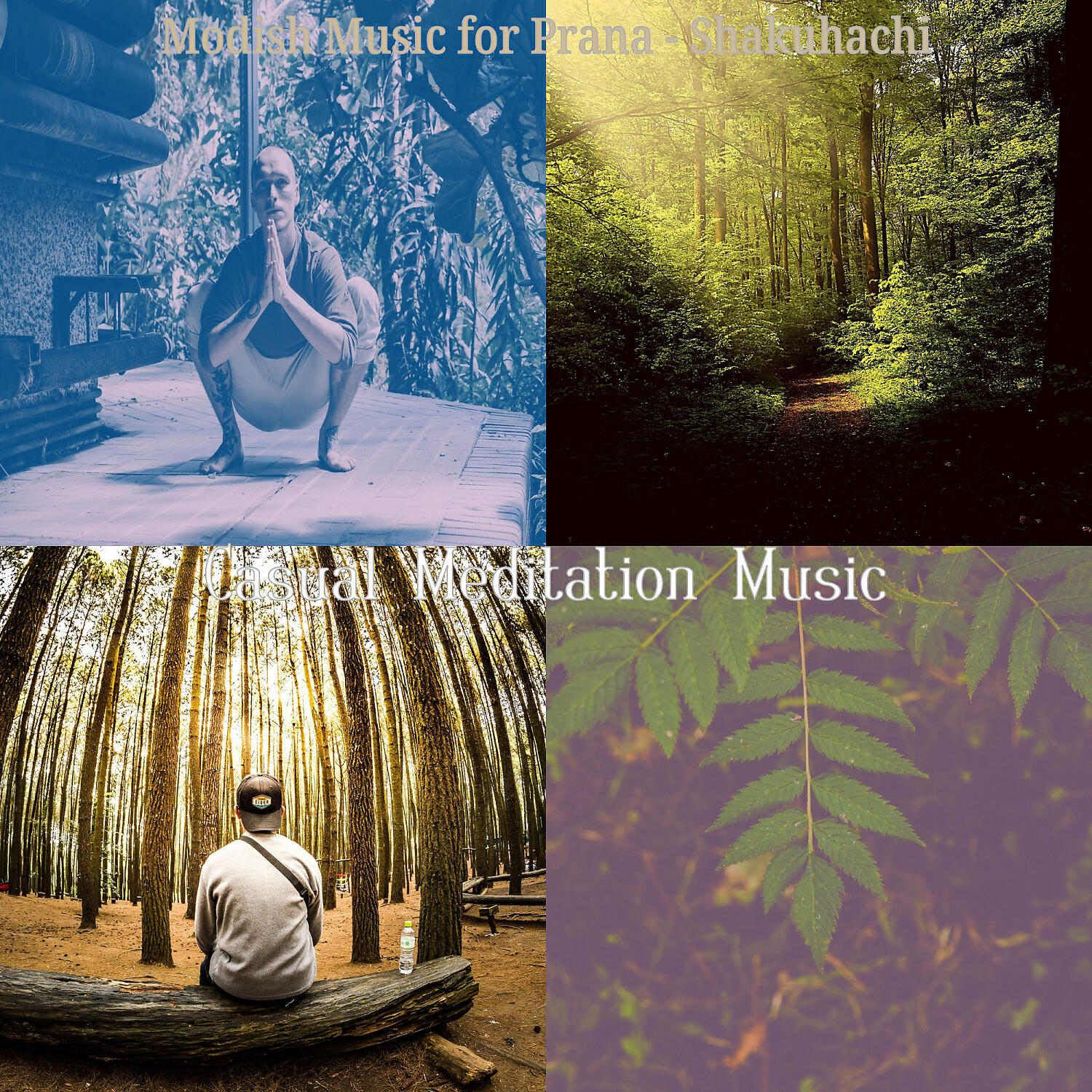 Релиз Modish Music for Prana - Shakuhachi