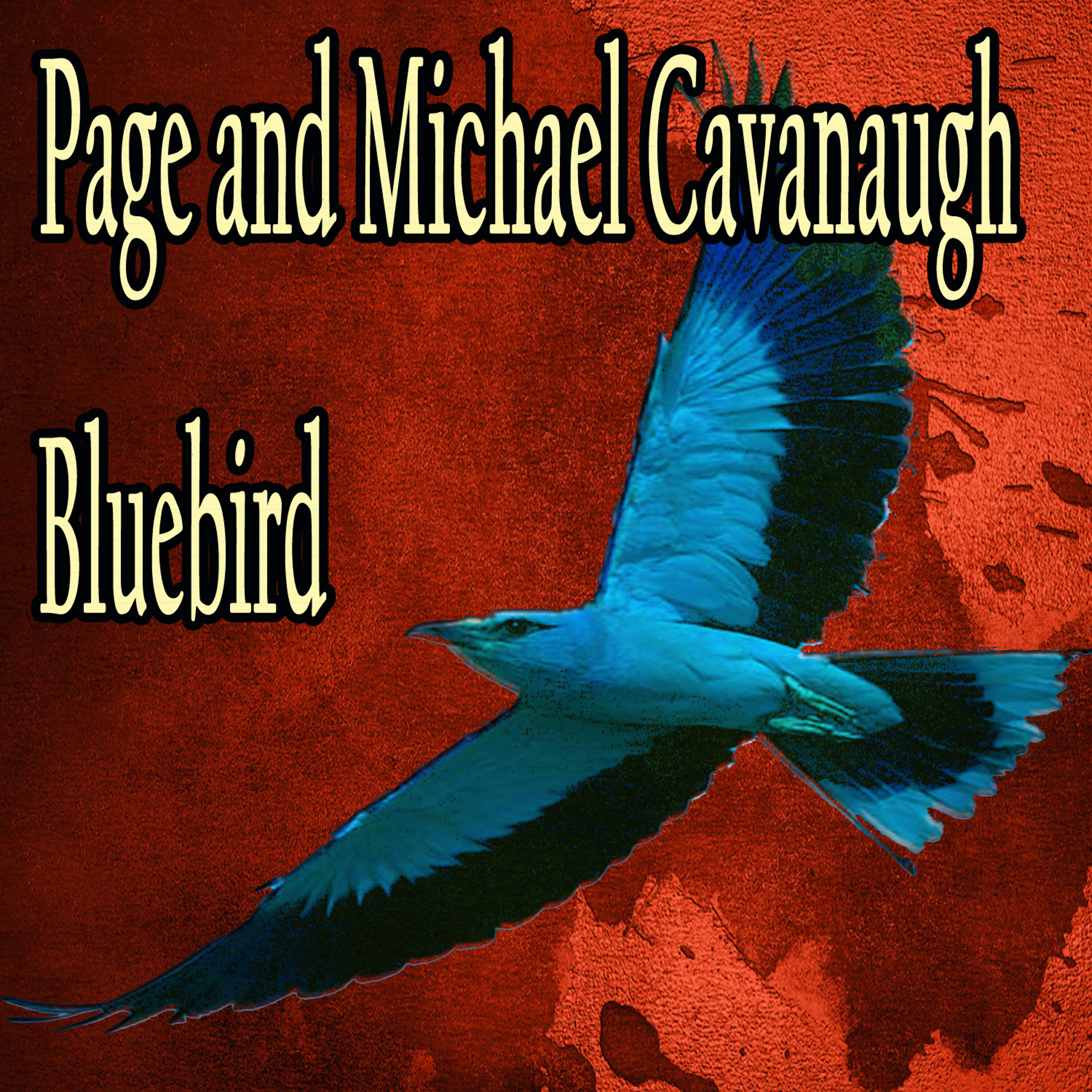 Релиз Bluebird
