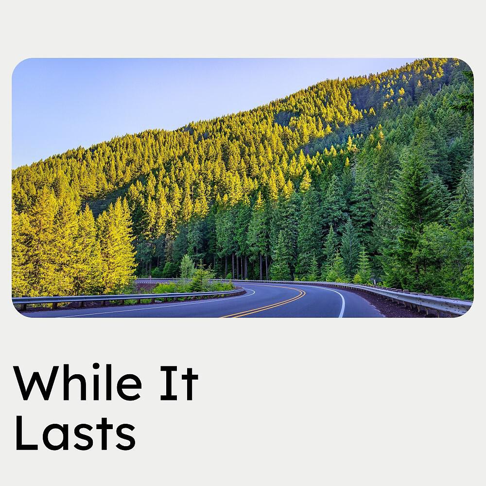 Релиз While It Lasts
