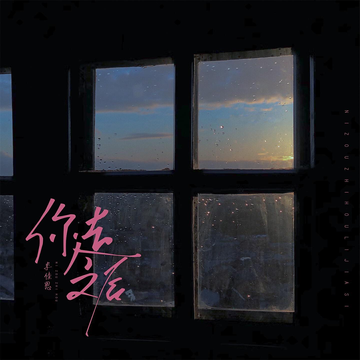 Релиз 你走之后