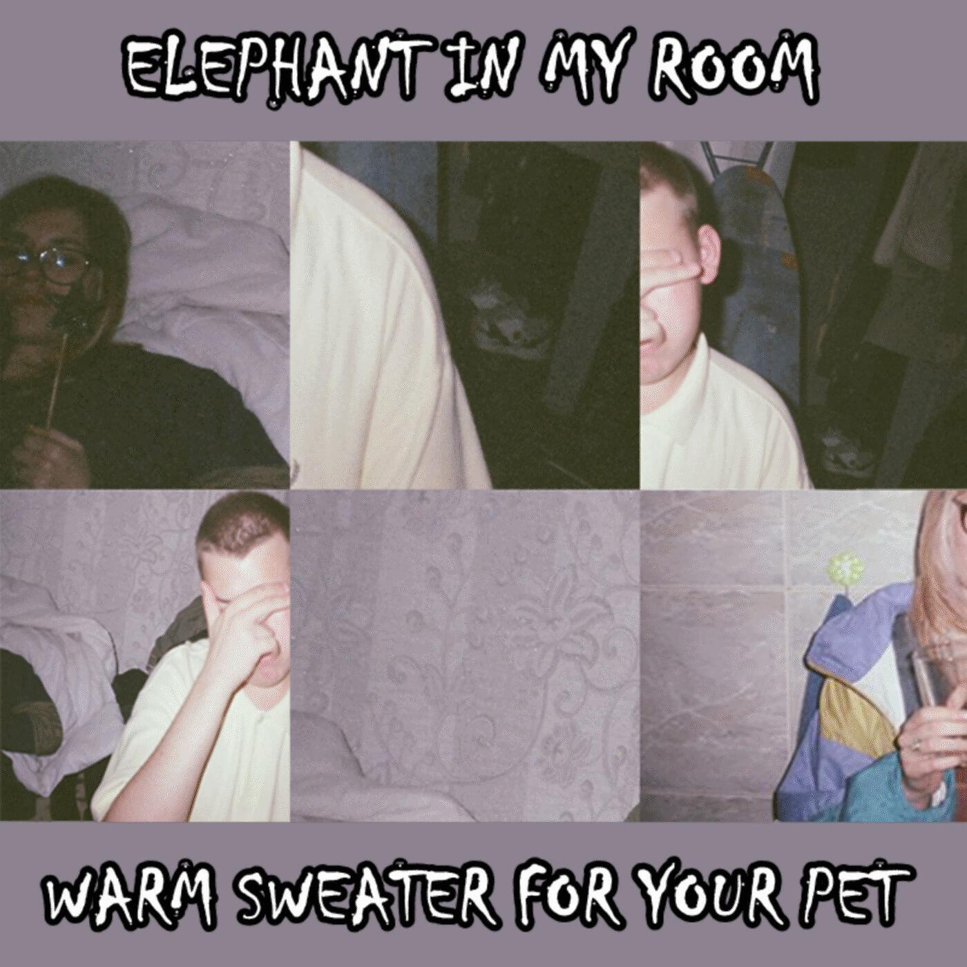 Релиз Warm Sweater for Your Pet