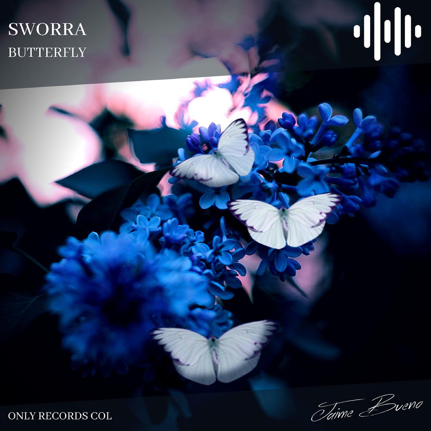 Релиз Butterfly