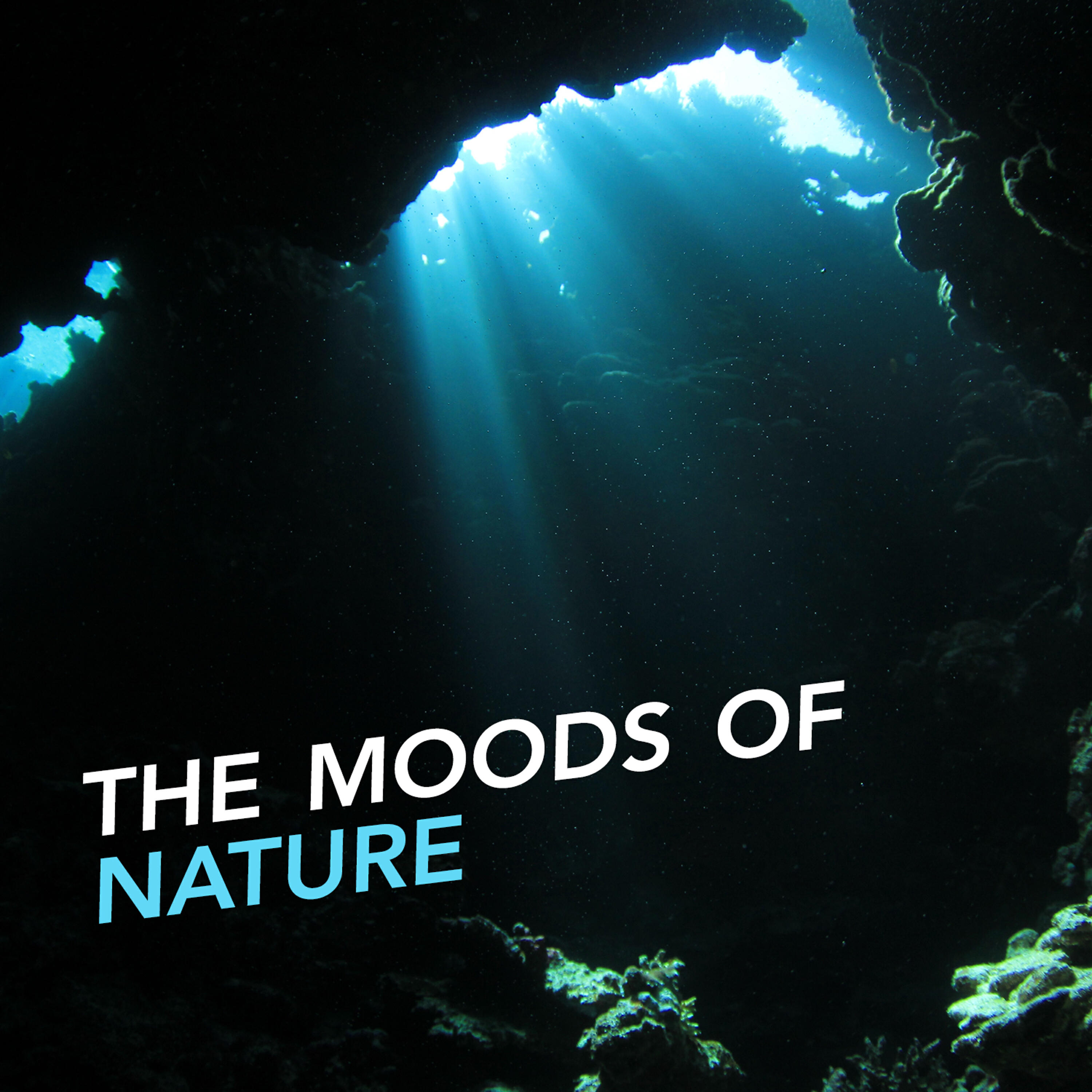 Релиз The Moods of Nature
