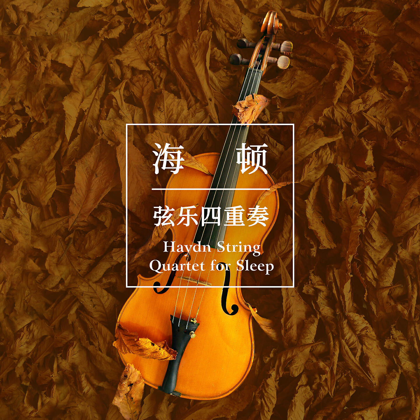 Релиз Haydn String Quartet for Sleep
