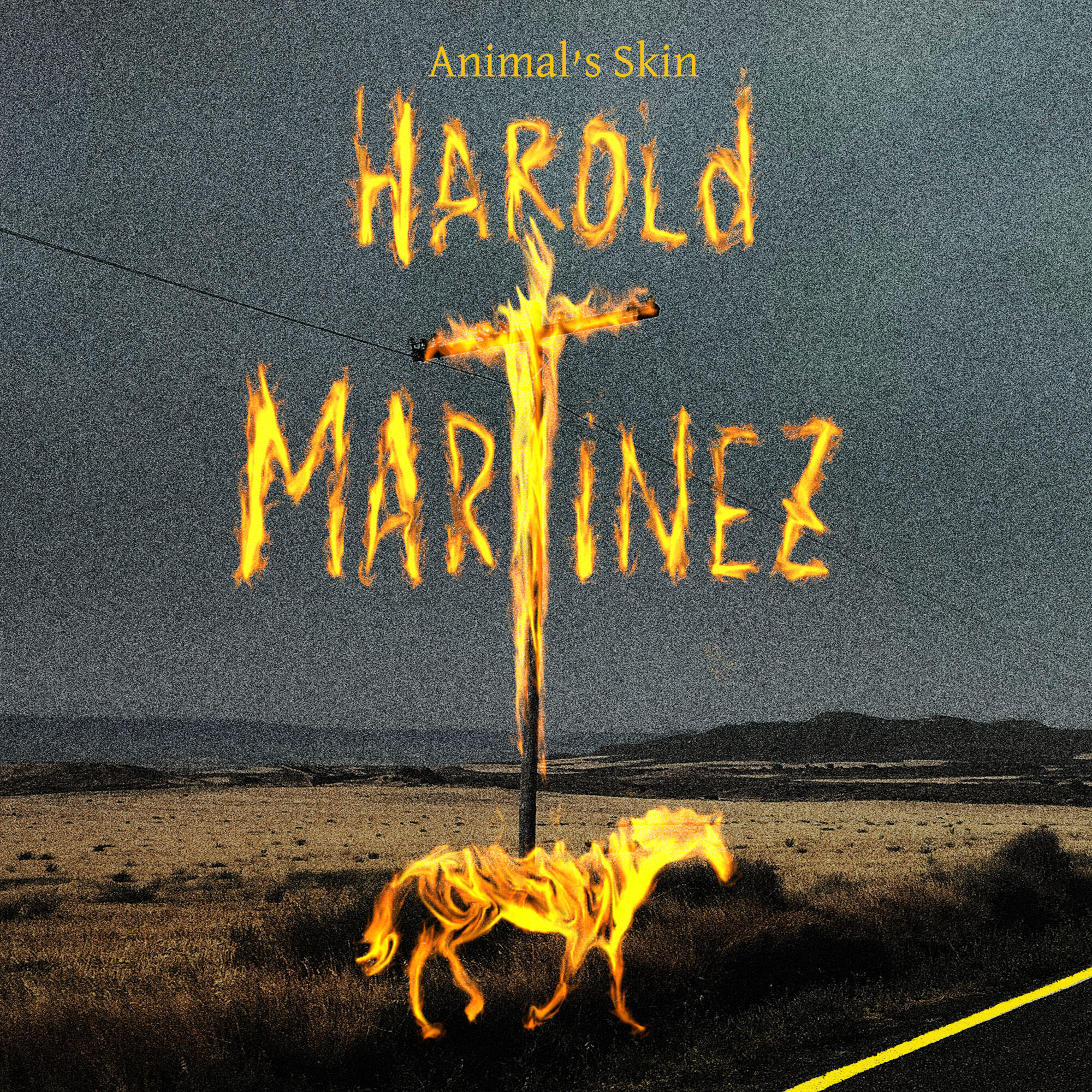Релиз Animal's Skin