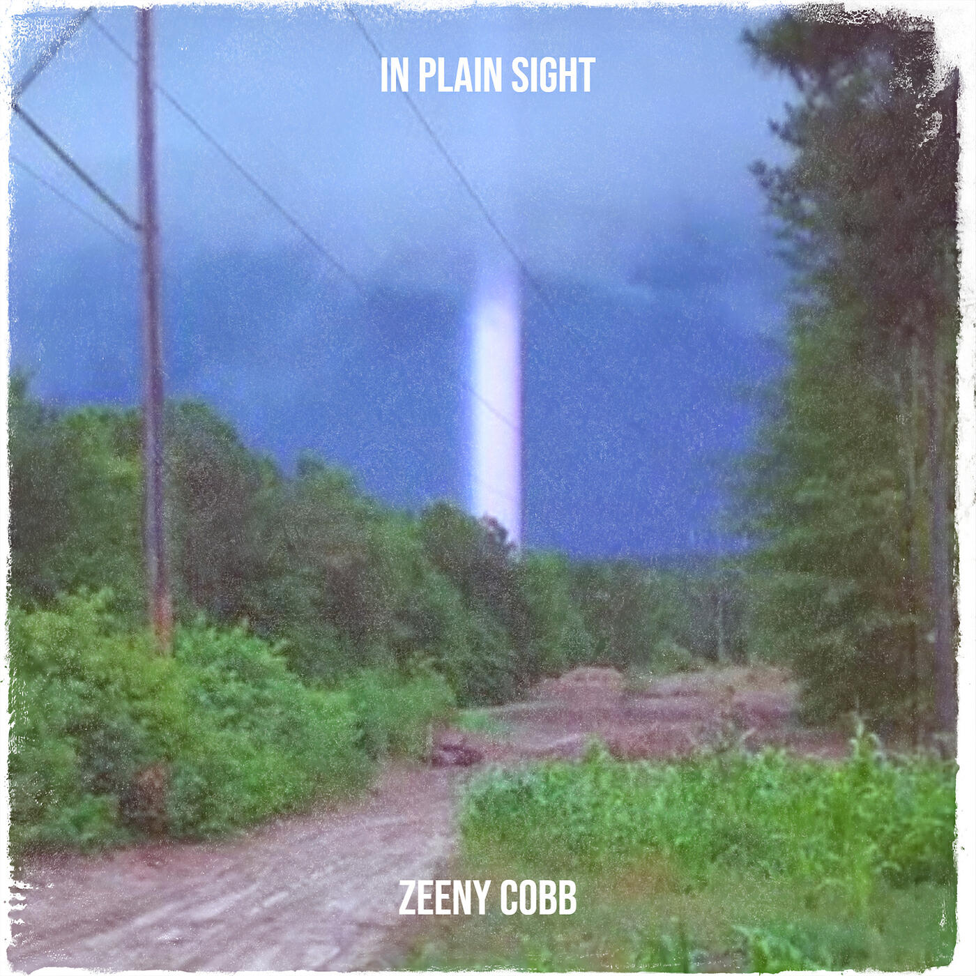 Релиз In Plain Sight