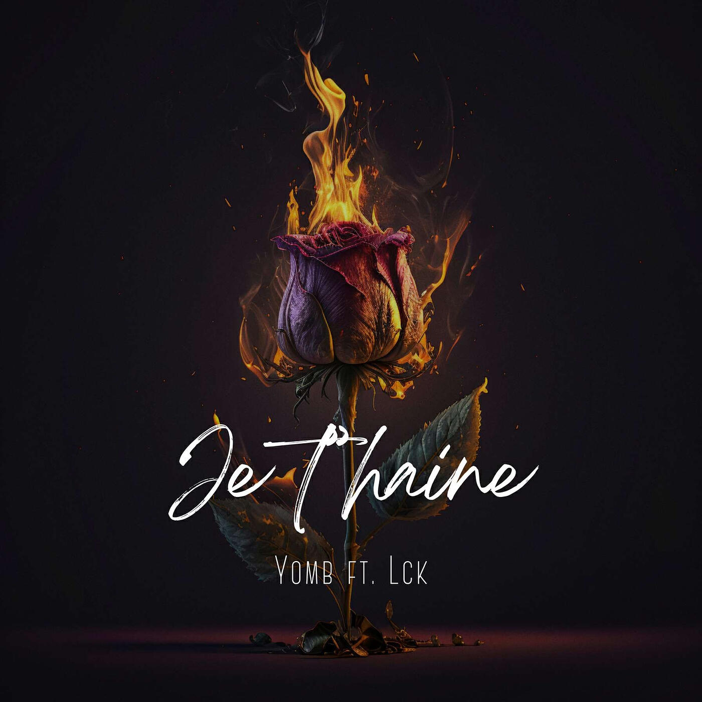 Релиз Je t'haine