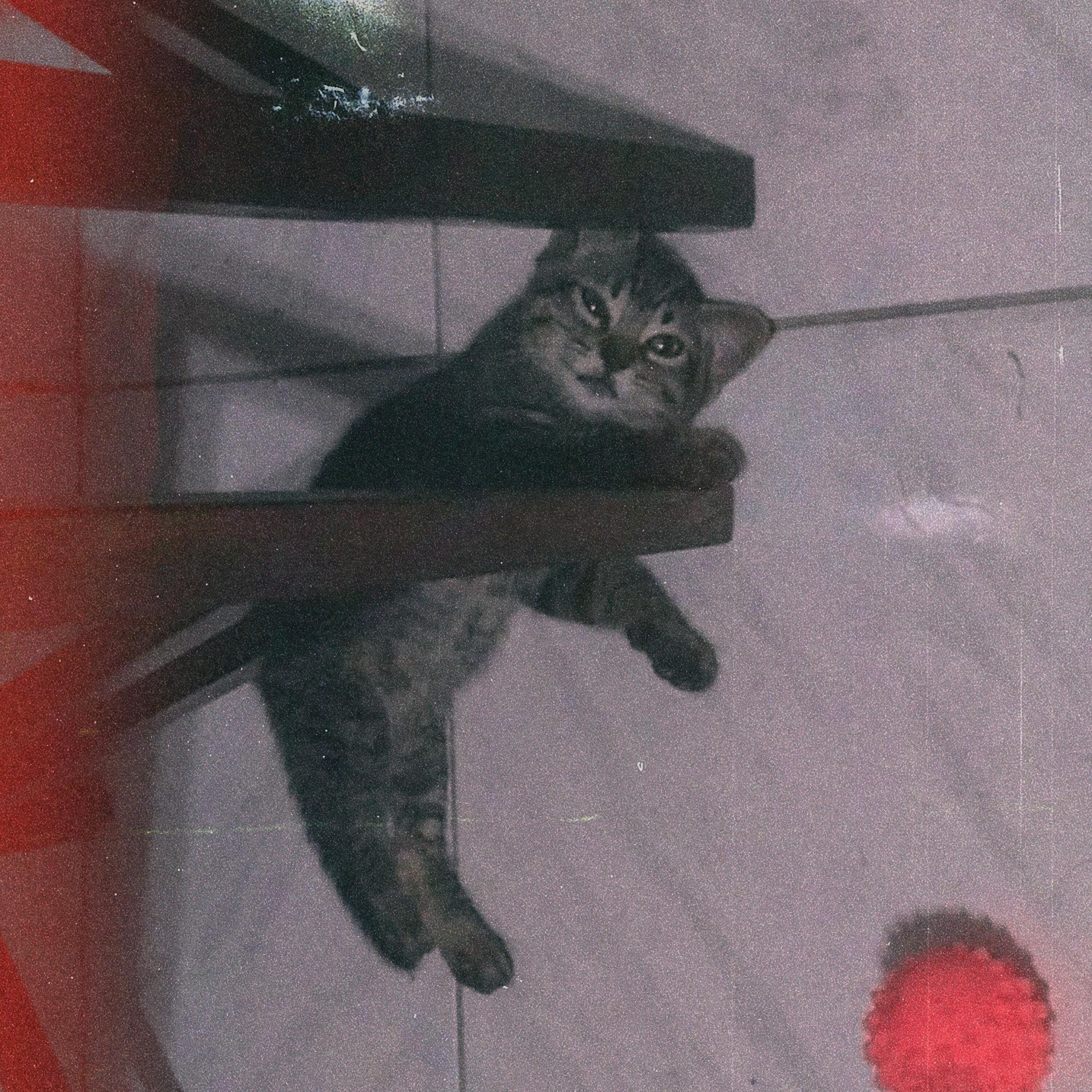 Релиз Luna