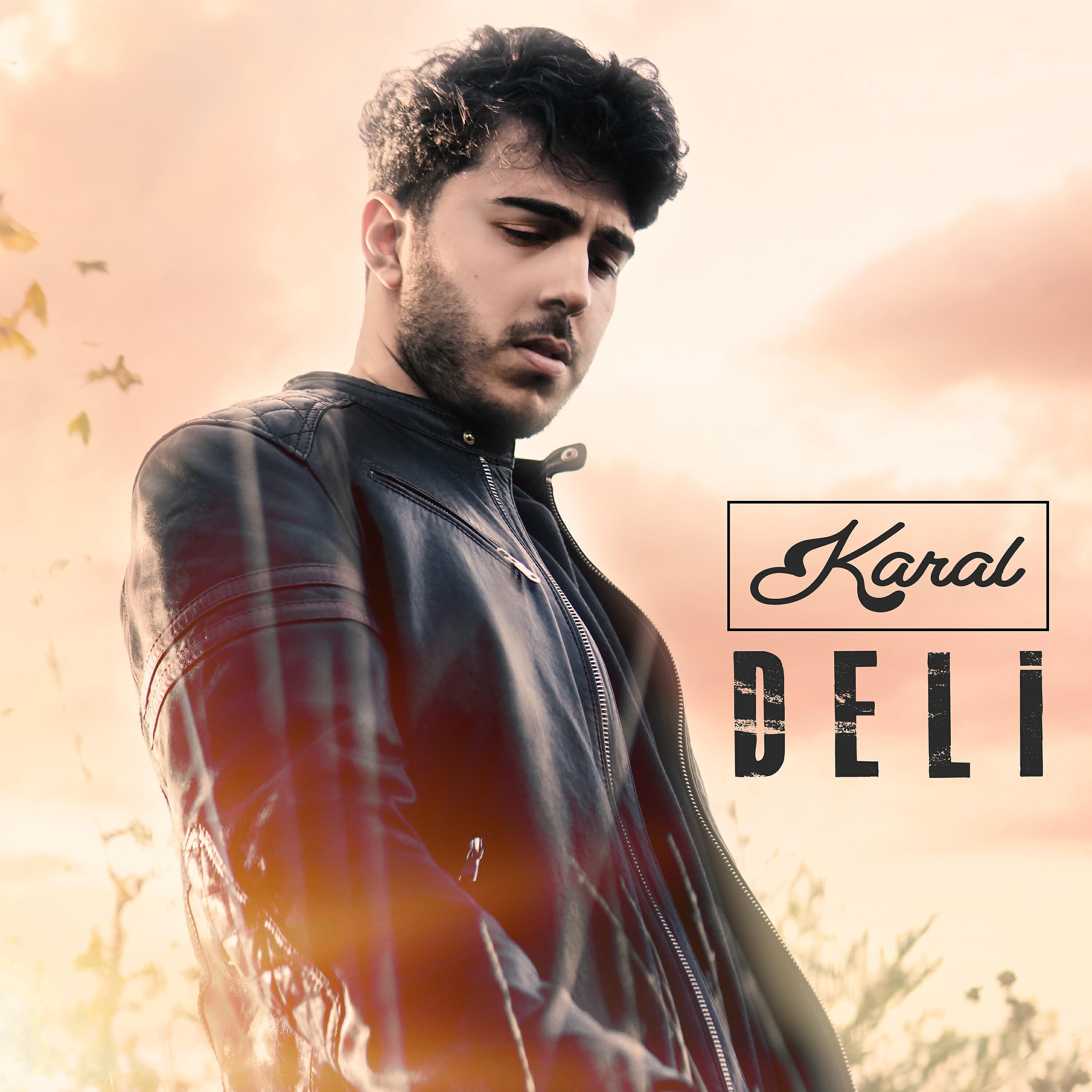 Релиз Deli