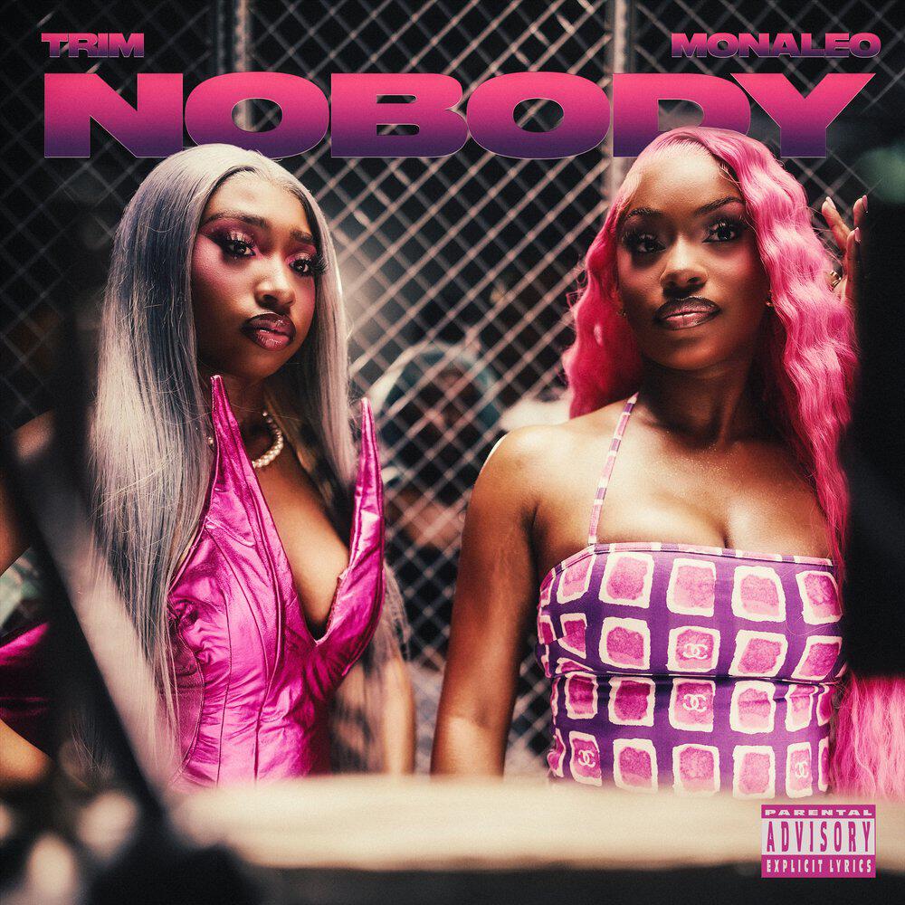 Релиз Nobody (feat. Monaleo) [Remix]